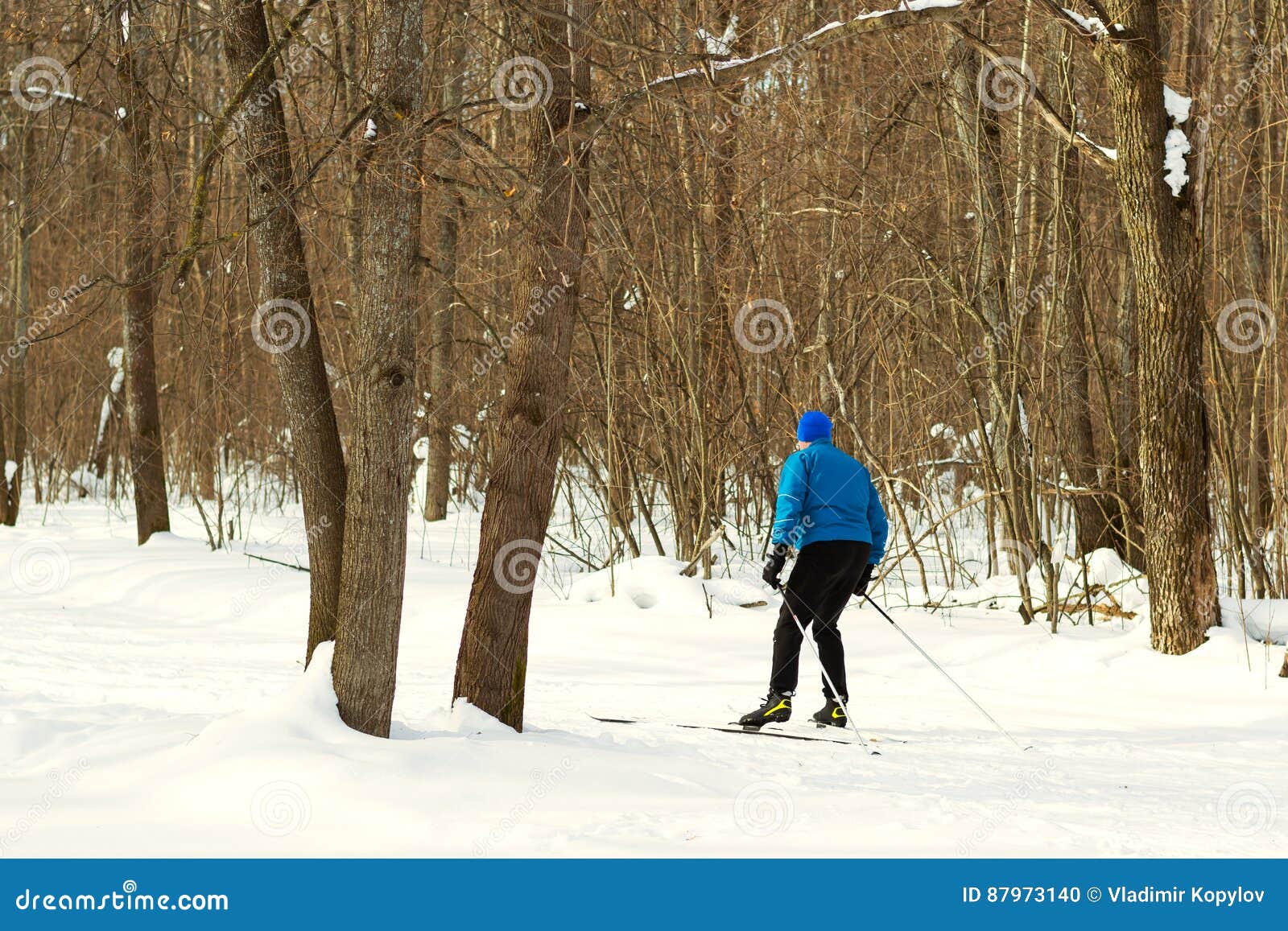 Skiing in the Beautiful Winter Forest in the Morning. Stock Photo ...