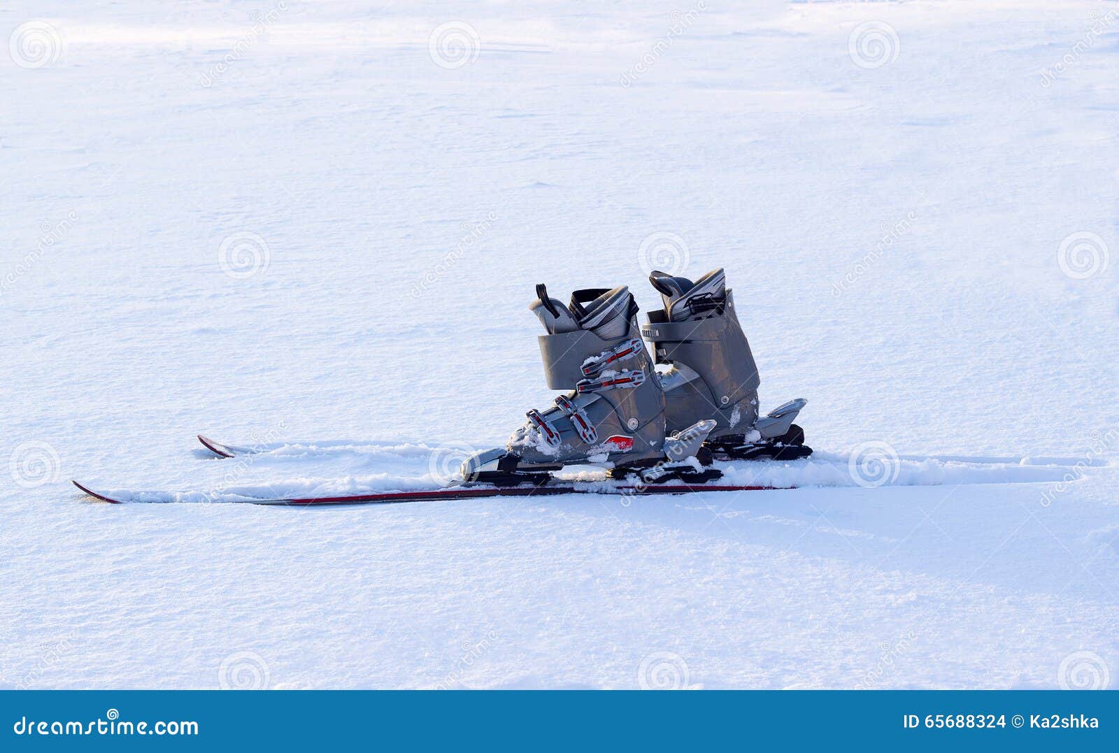 Skiing equipment on snow stock photo. Image of country 65688324