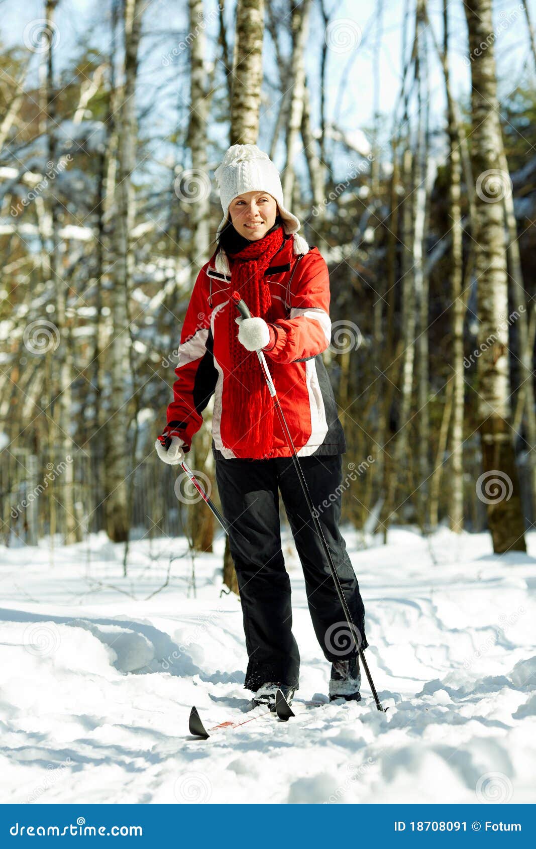 Skiing in the forest stock image. Image of salubrious - 18708091