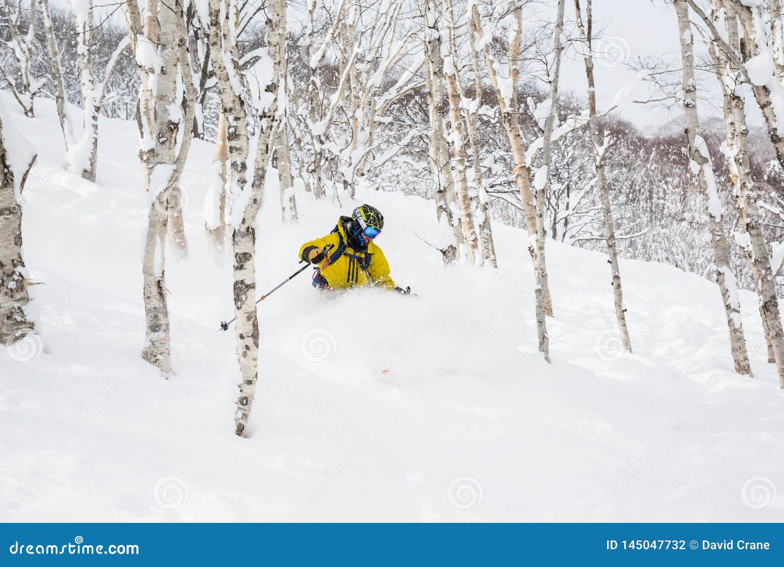 skiing powder through aspen trees of mount niseko, japan backcountry