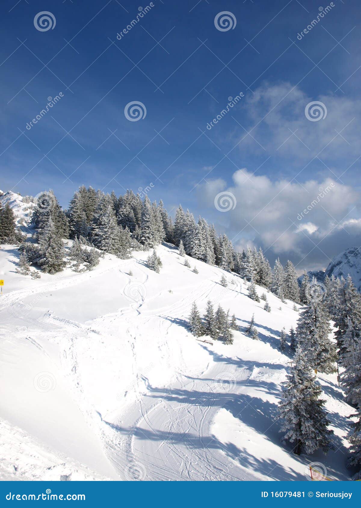 Skiing Slope in the Alps in Germany Stock Image Image of cold