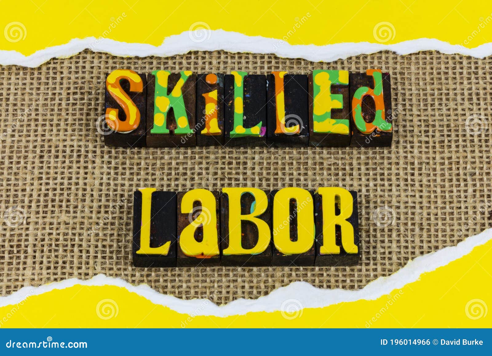skilled labor salary highly trained professional employee