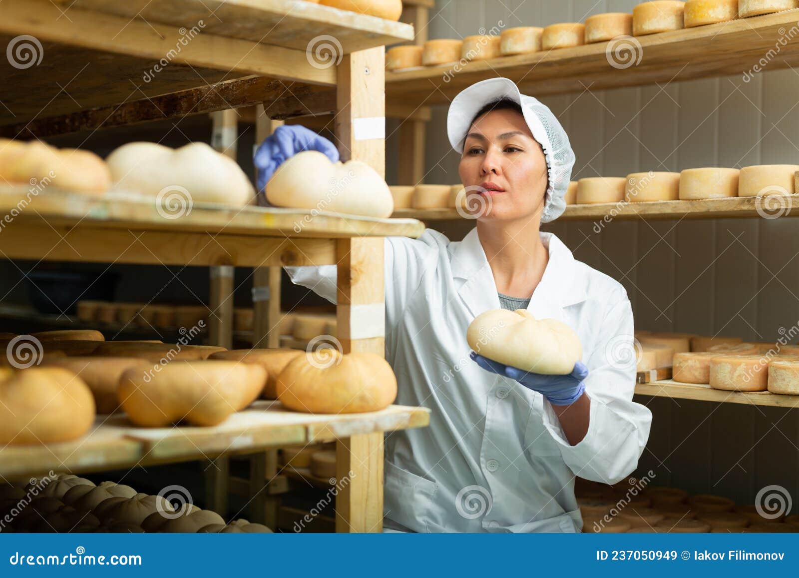 https://thumbs.dreamstime.com/z/skilled-woman-controlling-maturing-process-cheese-wheels-portrait-asian-working-storehouse-factory-goat-placed-shelves-237050949.jpg