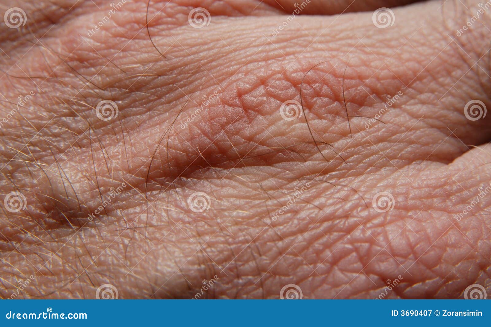 old man skin texture