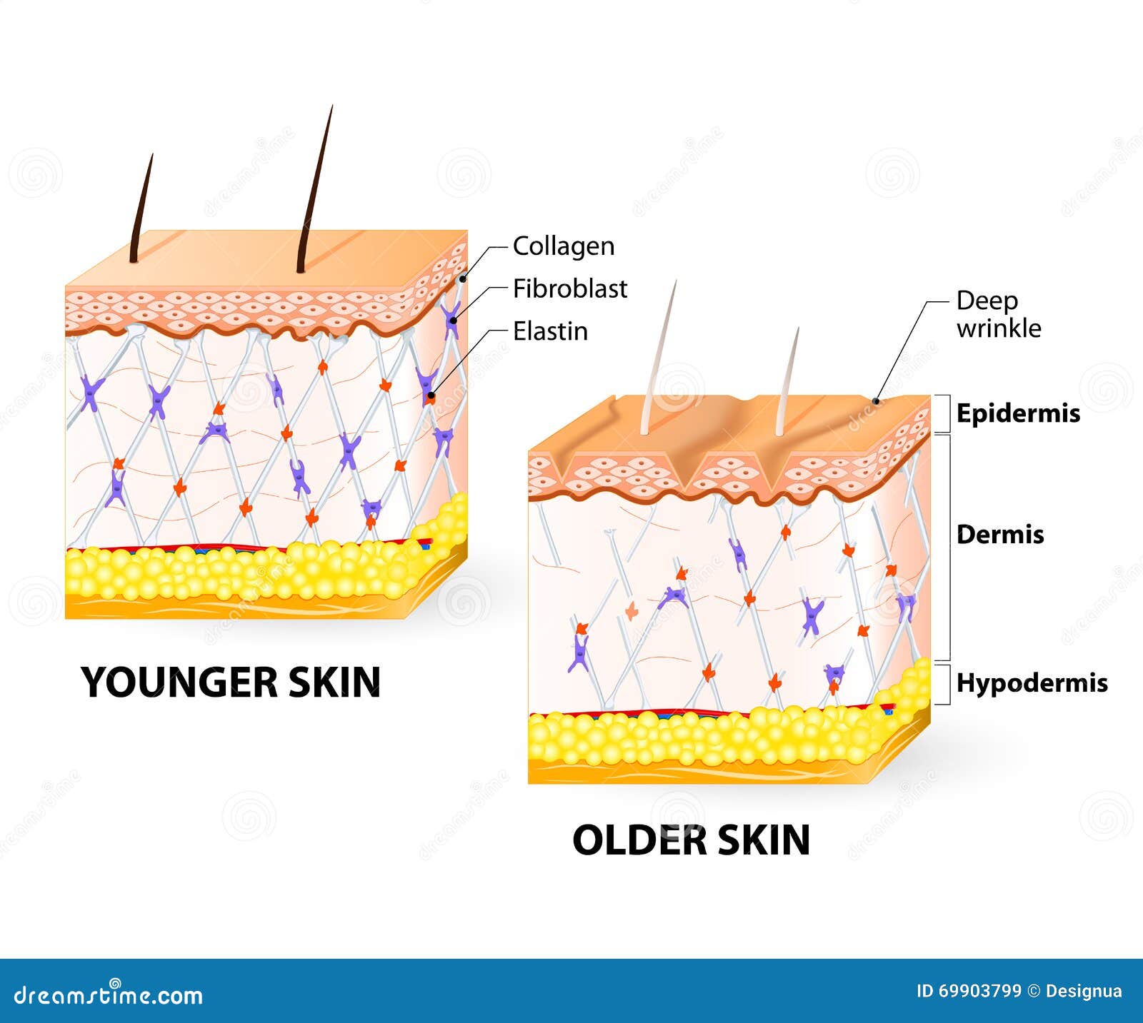 view The Chemistry Of