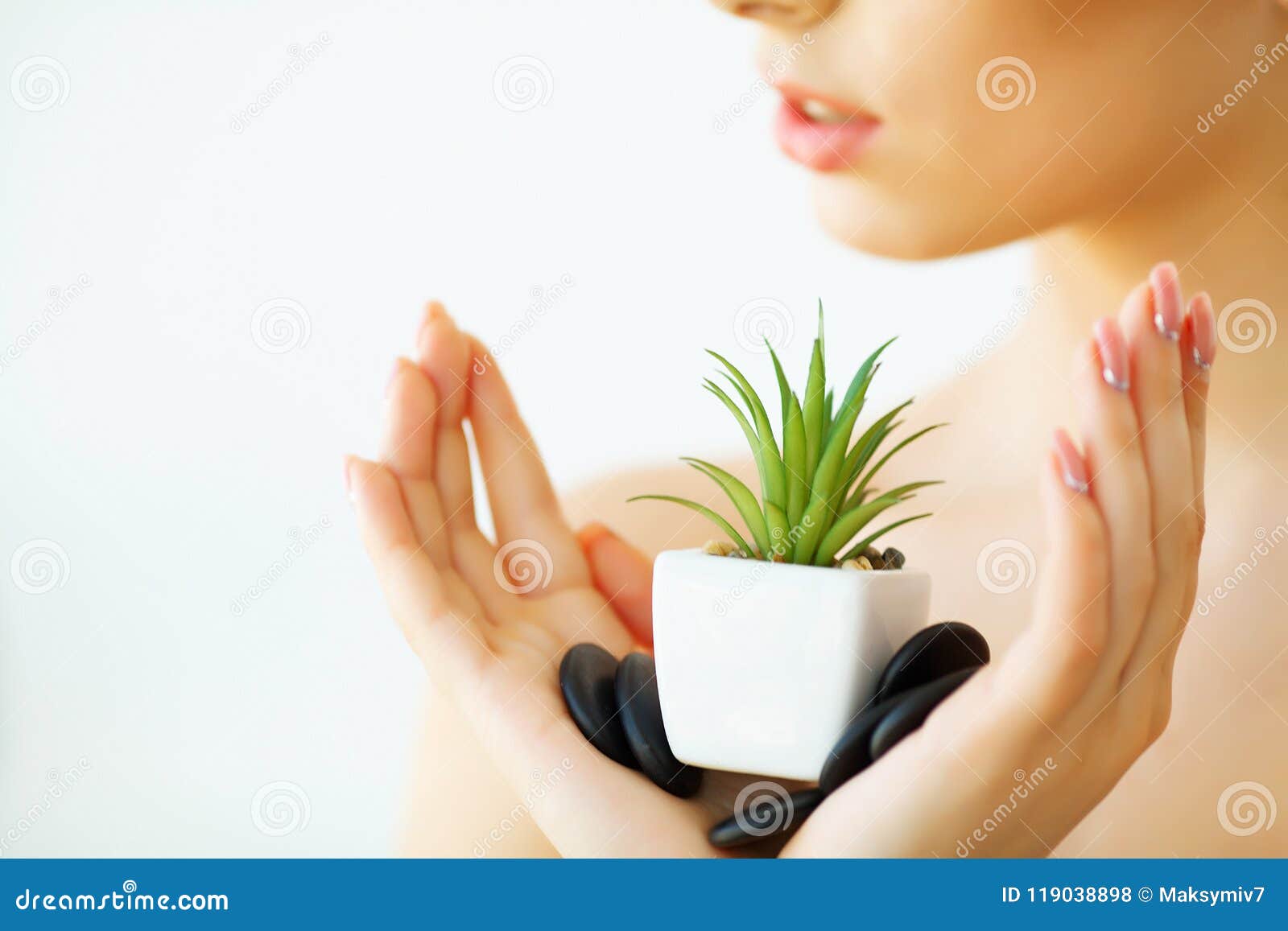 Skin Care Woman With Clear Skin Holding Green Aloe Vera Plant Stock Photo Image Of Makeup Pampering 119038898 https www dreamstime com skin care woman clear skin holding green aloe vera plant skin care woman clear skin holding green aloe vera plant beauty image119038898