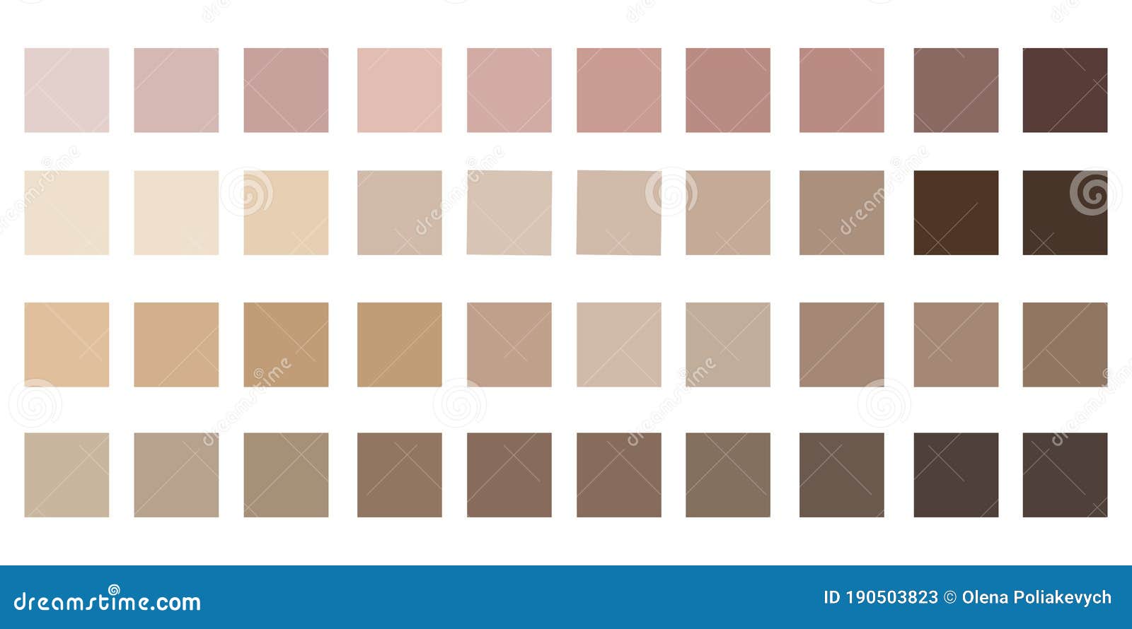 Skin Color Tones Chart. the Texture of the Palette of Shades of the ...