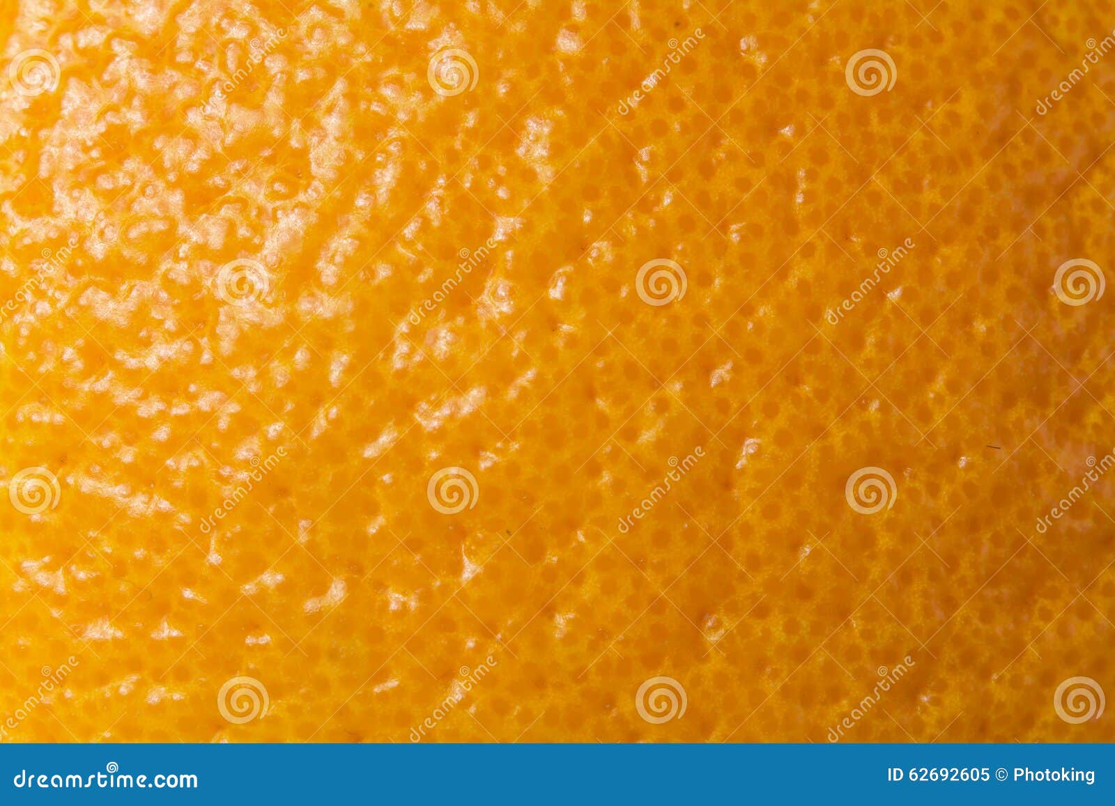 Skin of orange stock image. Image of orange, macro, dieting 62692605