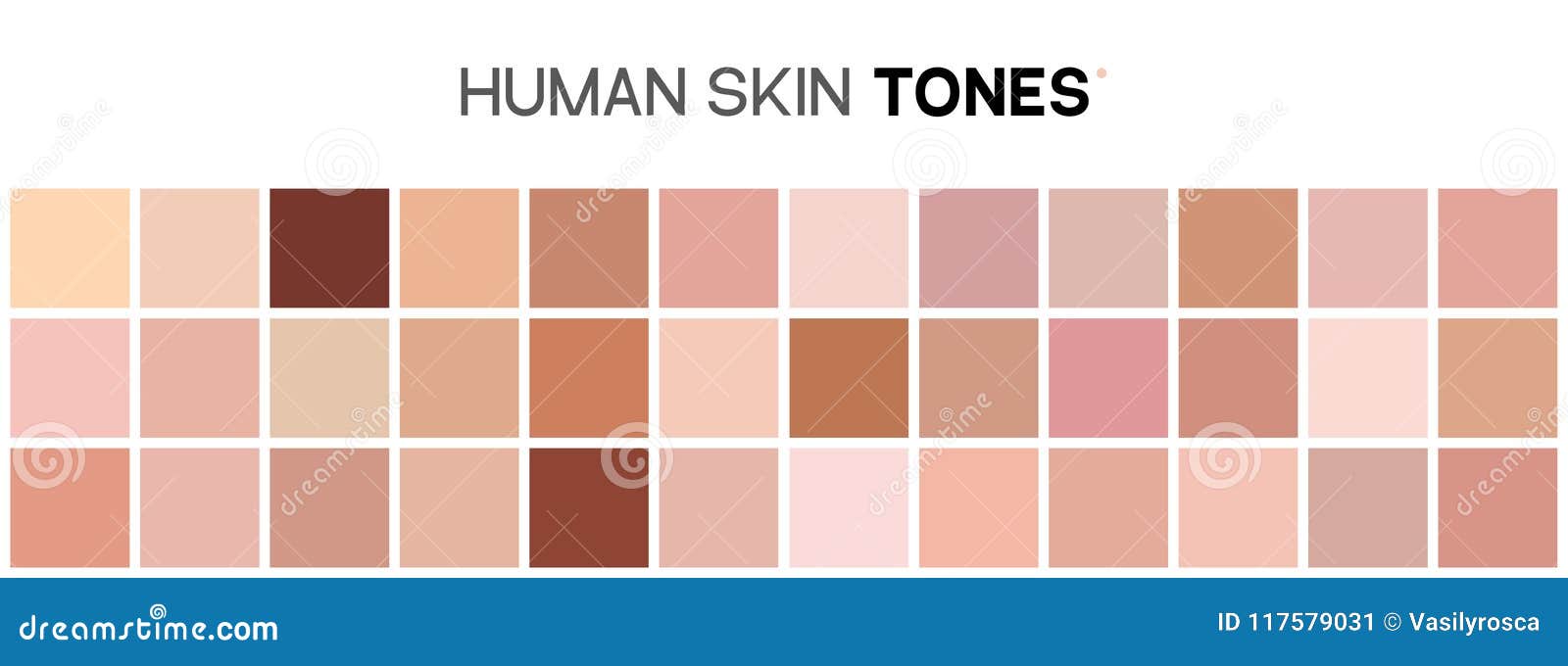 Textures And Tones Color Chart