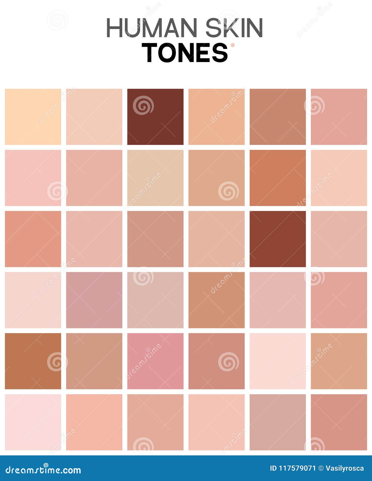 Skin Tone Color Chart. Human Skin Texture Color Infographic Palette ...