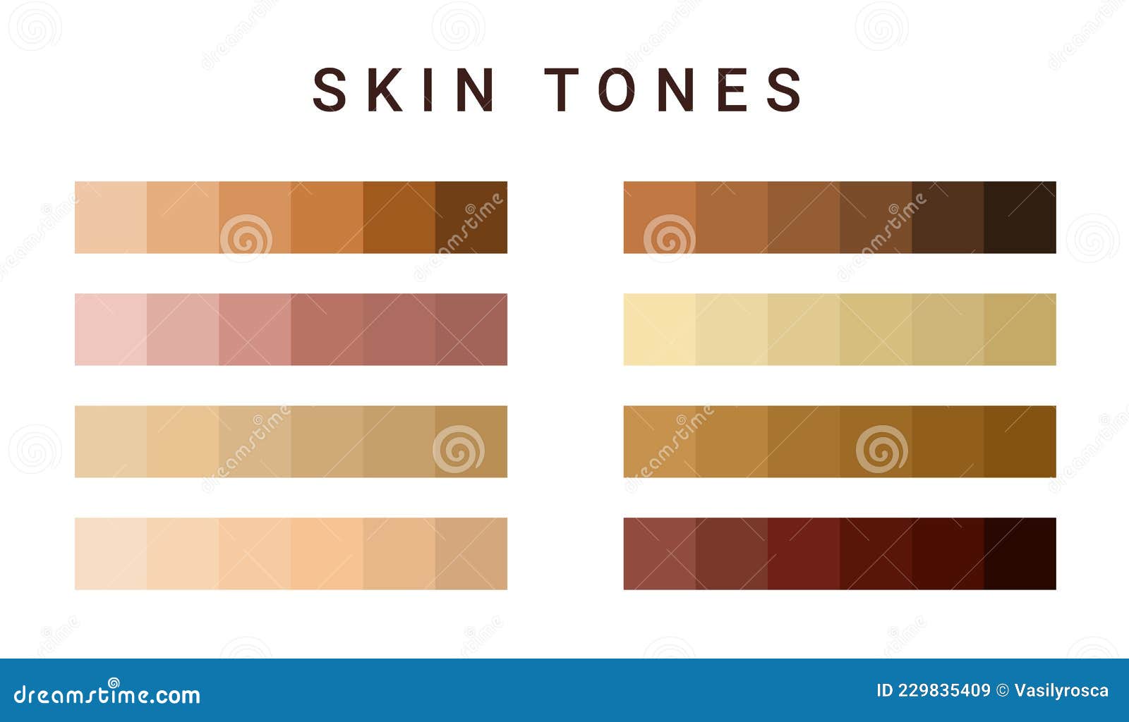 skin tone color scale chart. brown palette  human skin infographic banner icon