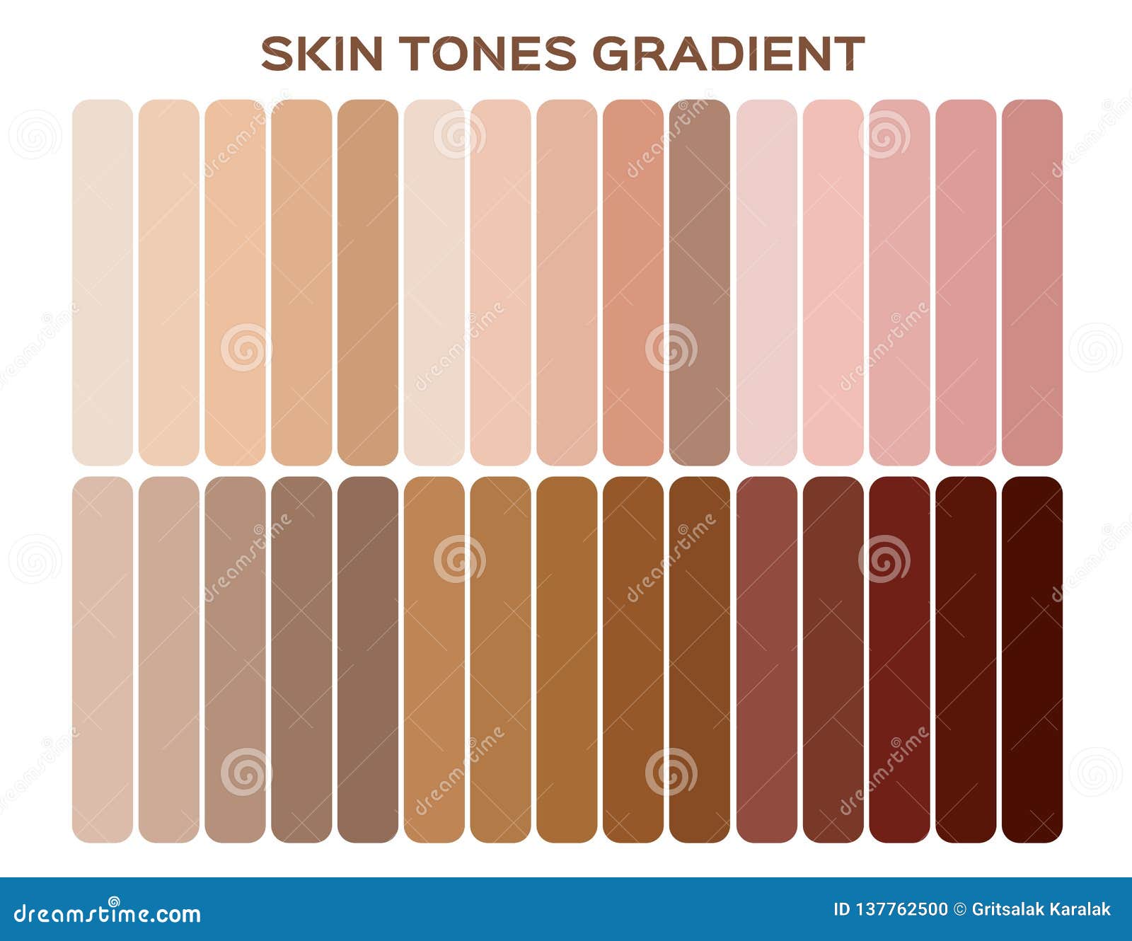 Skin Tone Index Color . Infographic Stock Vector - Illustration of cell ...