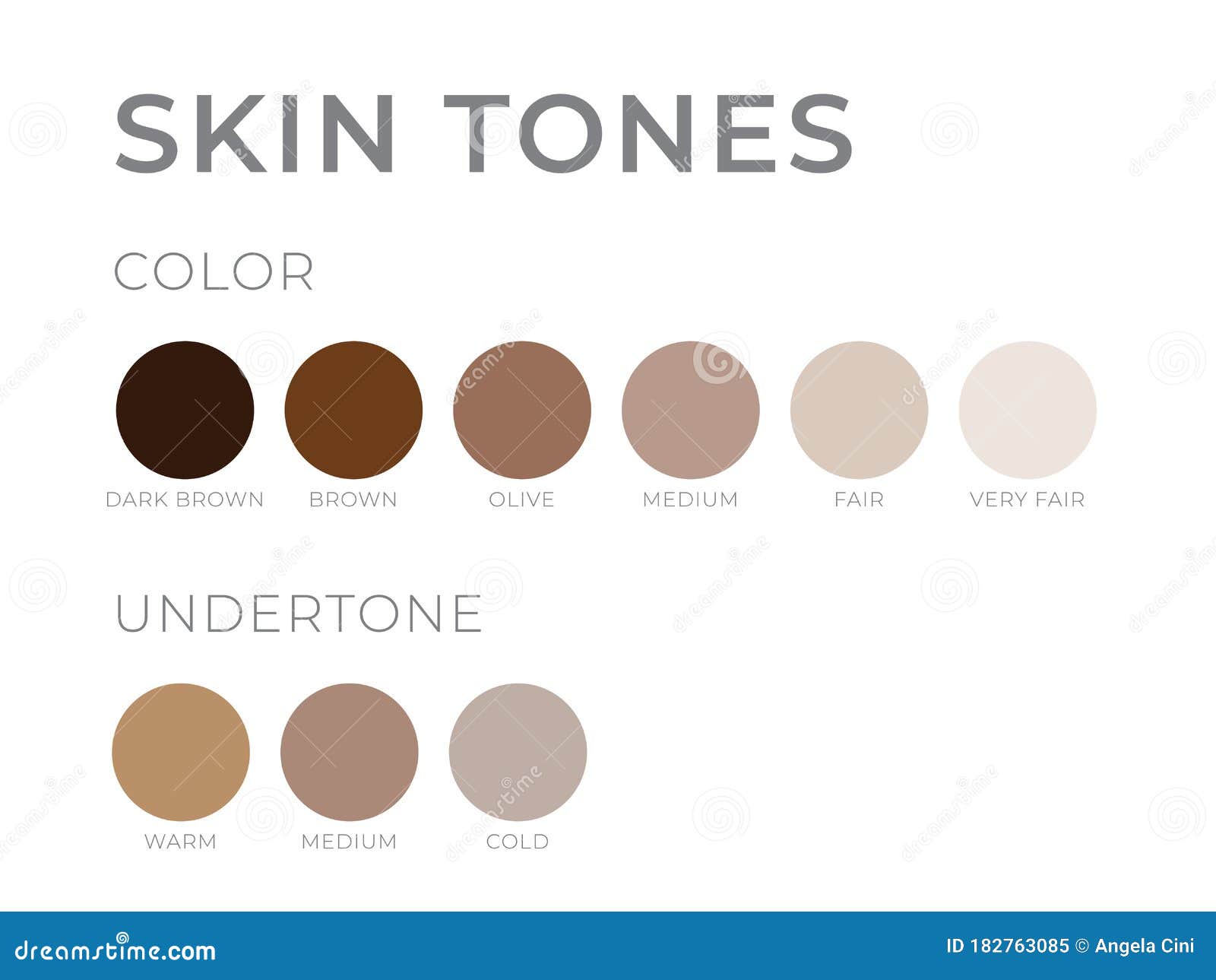 Skin Tones With Undertone Warm Cold Neutral Skin Colors Stock Vector Skin Tones With Undertone Warm Cold Neutral Skin Colors Stock Vector