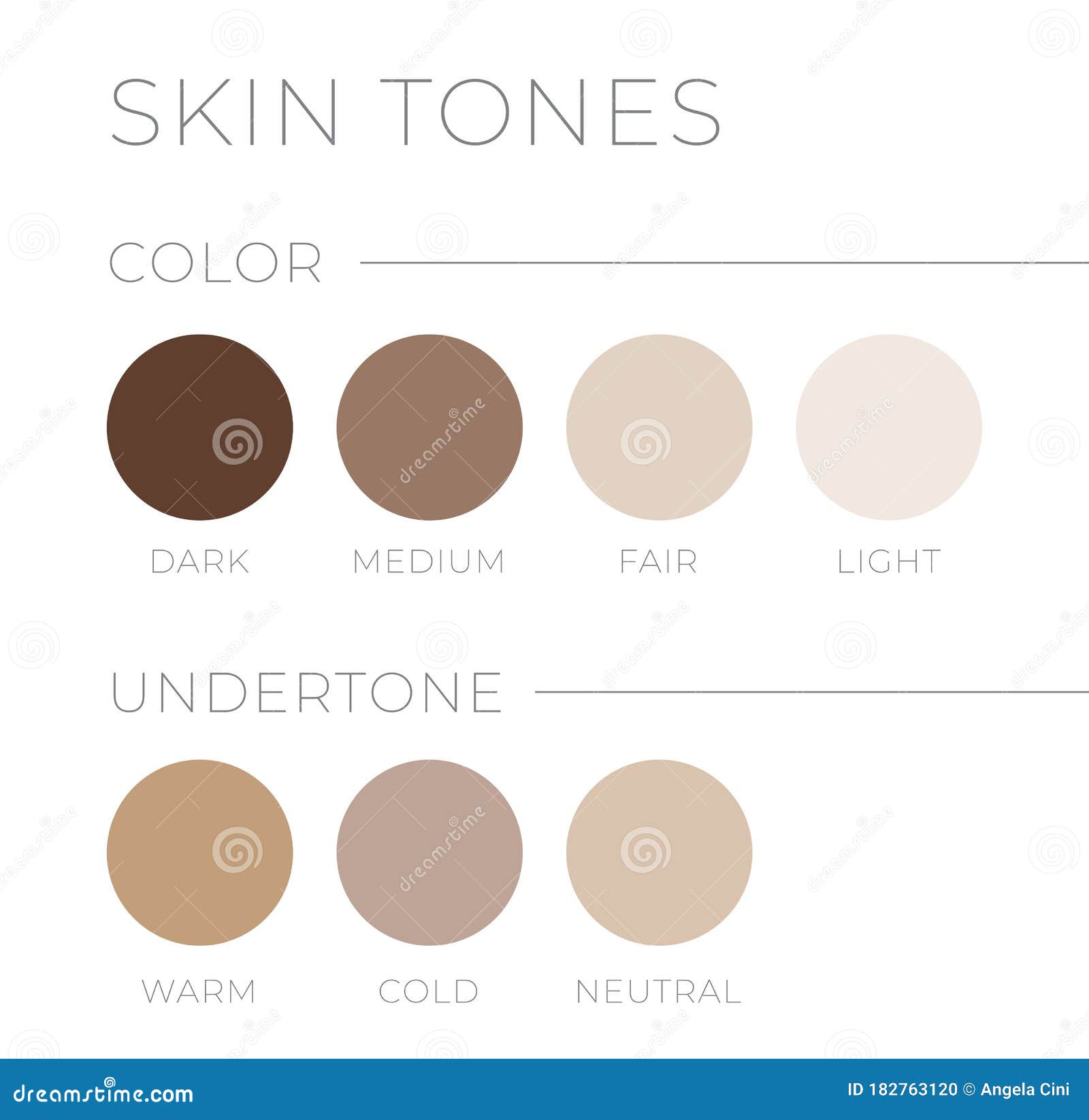 Skin Tones With Undertone Warm Cold Neutral Skin Colors Stock Vector Skin Tones With Undertone Warm Cold Neutral Skin Colors Stock Vector