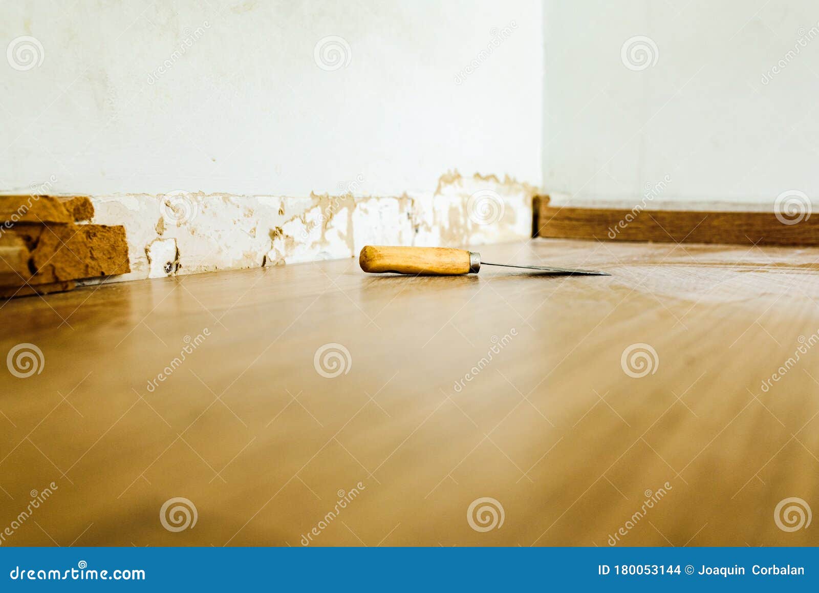 Termites Damage Wood Skirting Board Wooden Stock Photo 1481355341 |  Shutterstock
