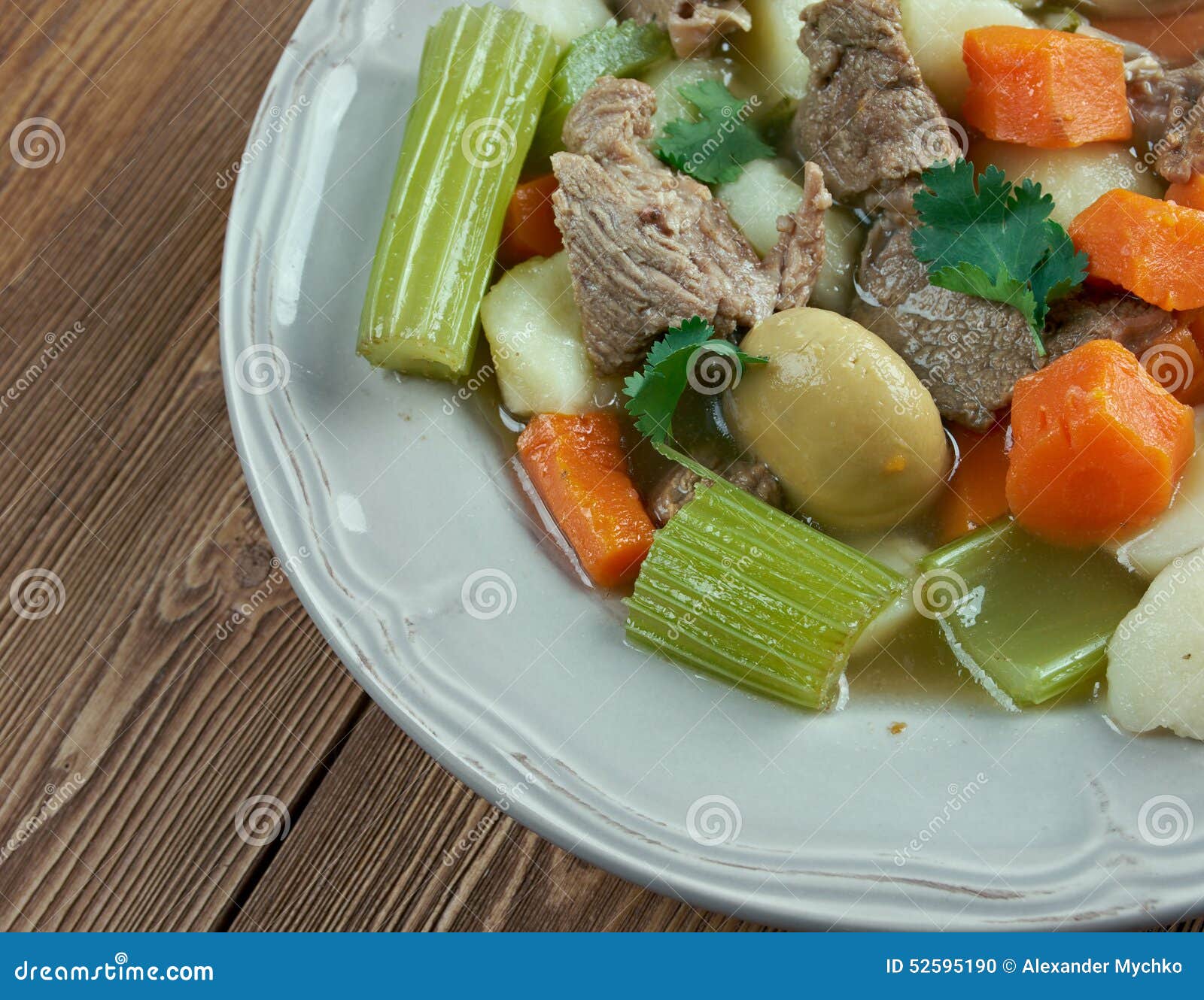 Skirts and kidneys stock photo. Image of healthy, dinner 52595190