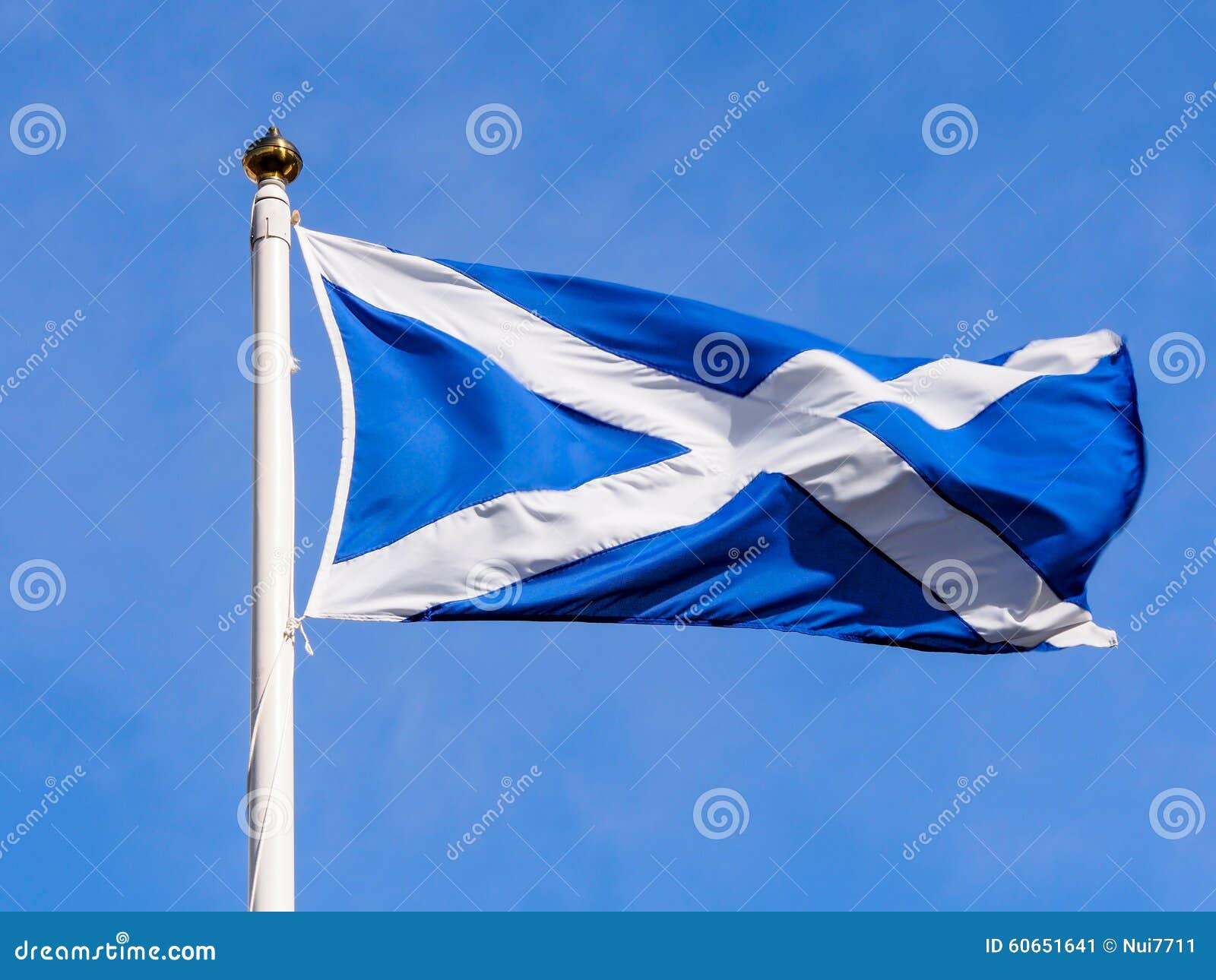 Skottland Flagga Fotografering For Bildbyraer Bild Av Patriotiskt 60651641