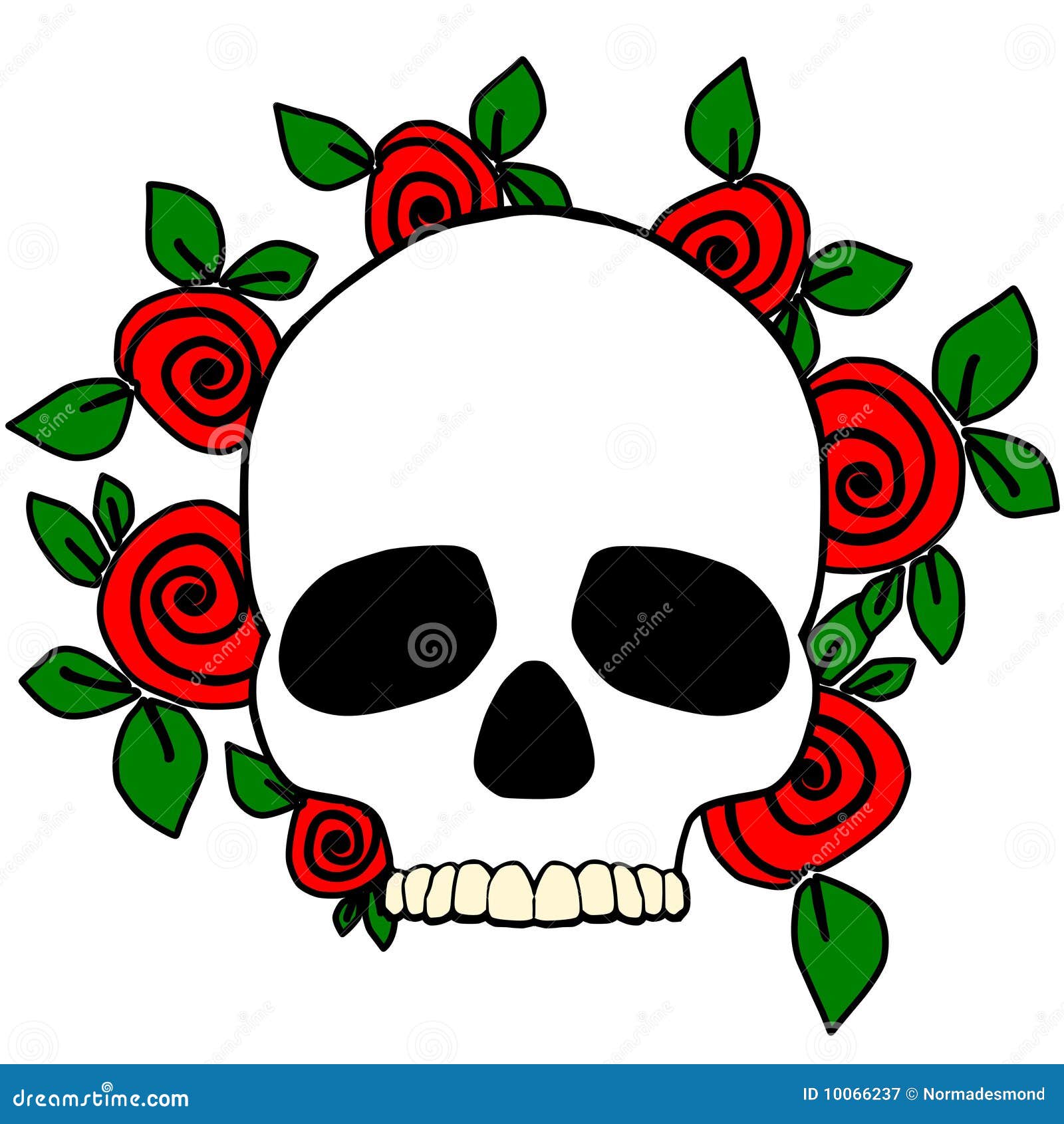 Skull stock illustration. Illustration of rose, dead - 10066237