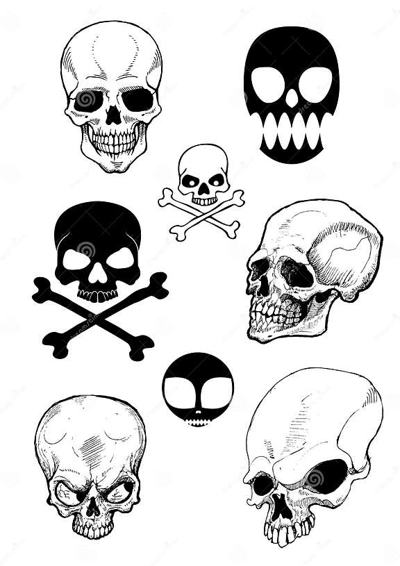 Skull stock vector. Illustration of organism, design, evil - 8170495