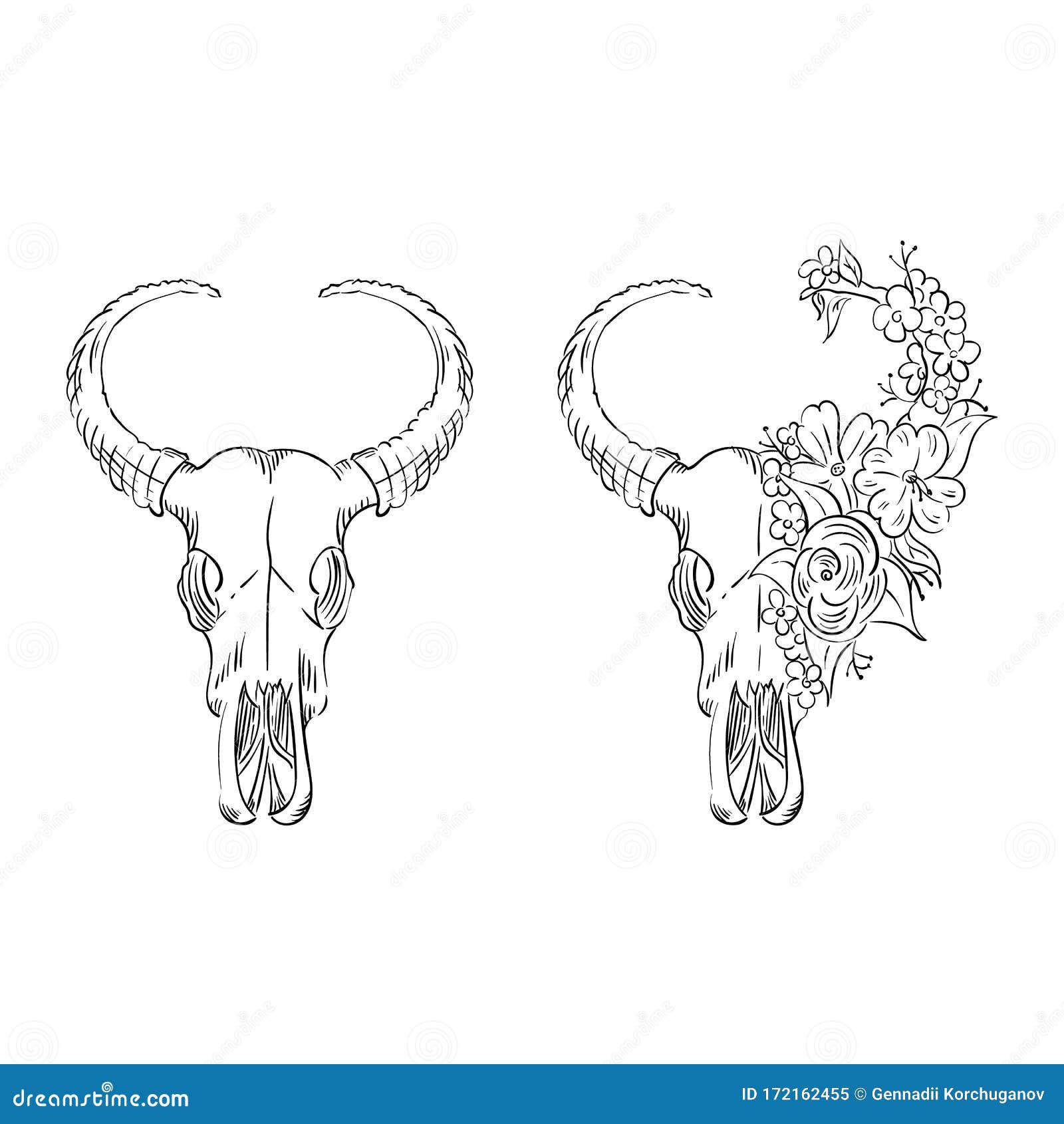 Skull of a Buffalo with Horns. Tropical Flowers. the Effect of Ink Drawing. Stock Vector of native, black: 172162455