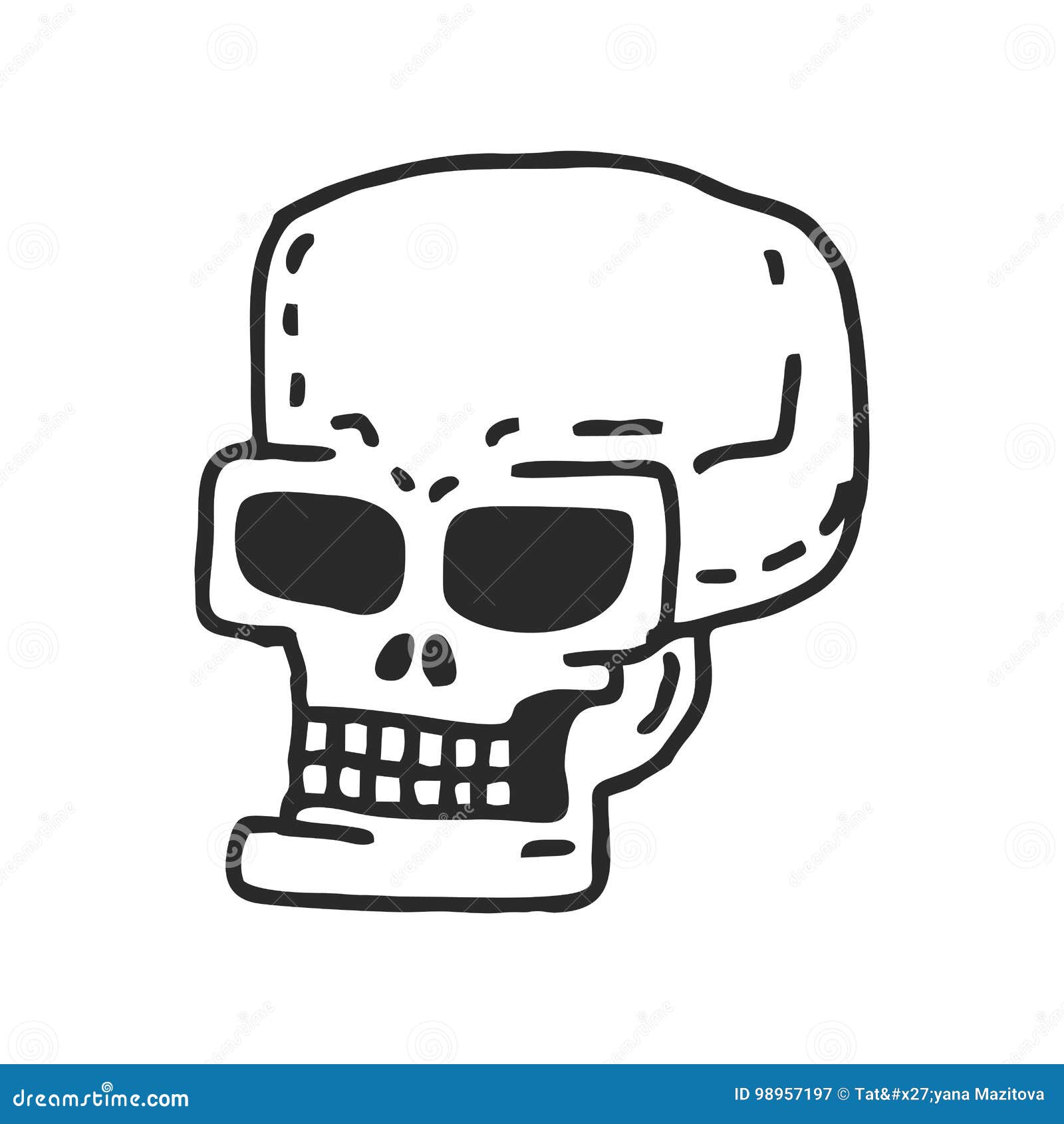 Human Skull skeleton head anatomy  Stock Illustration 69278654  PIXTA