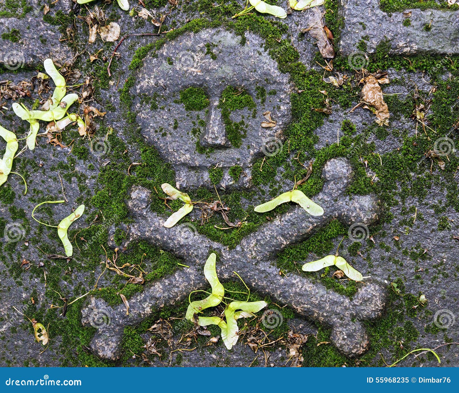Skull and Cross Bones on the Tombstone Stock Image Image of cemetery, headstone 55968235