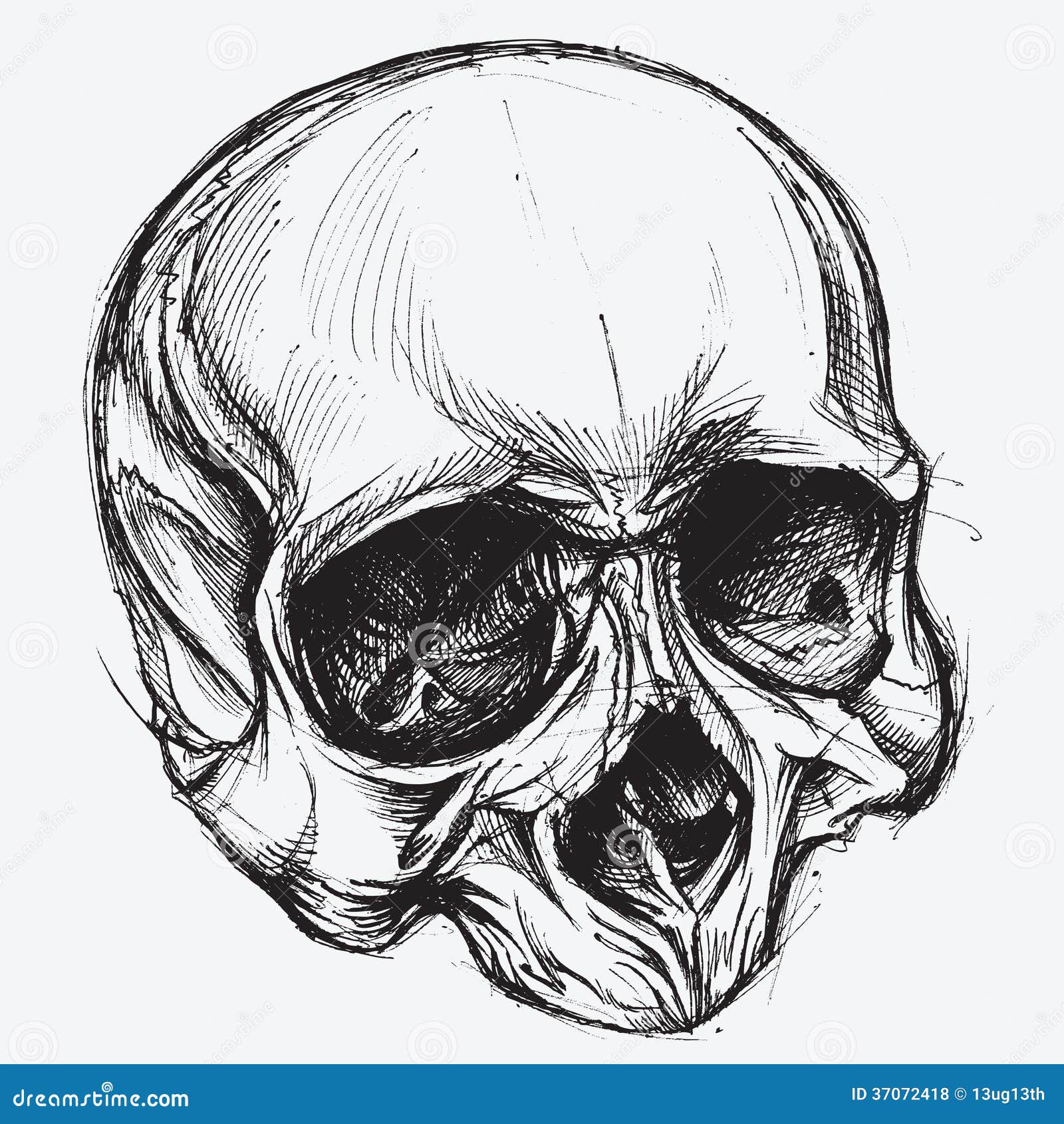 download skull drawing download skull drawing