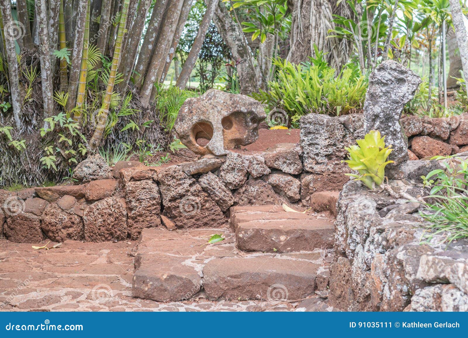 Kukuiolono Park Photos Free & RoyaltyFree Stock Photos from Dreamstime
