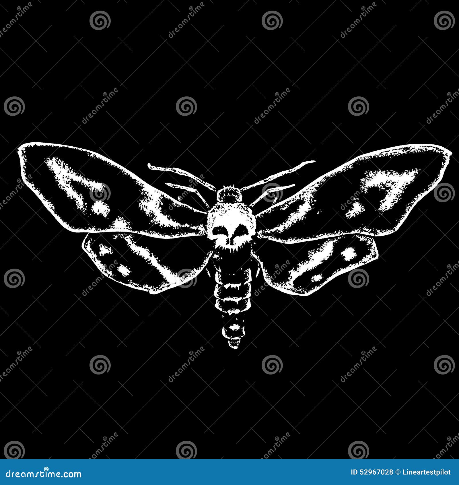 Skull moth stock illustration. Illustration of traditional - 52967028