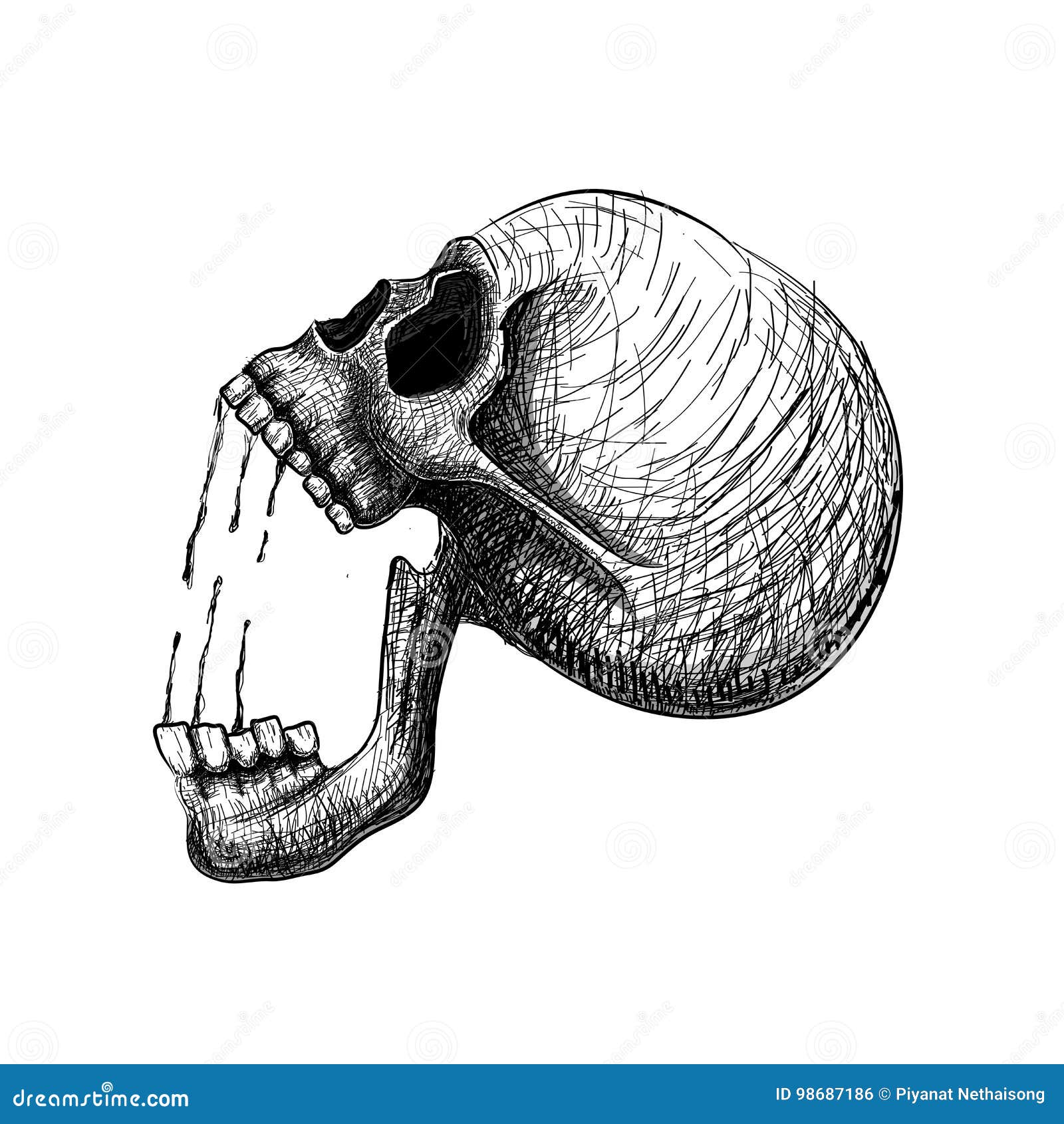 Skull Pain Hand Draw Line Art Anatomically Correct Human Skull Stock Vector Illustration Of Medical Fear