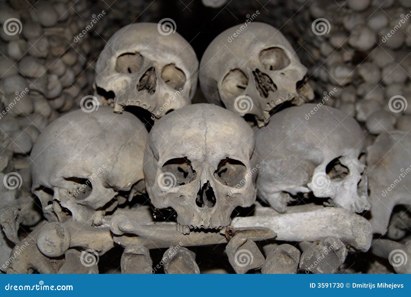 Skull pile stock photo. Image of dead, lump, anatomy, cemetery - 3591730