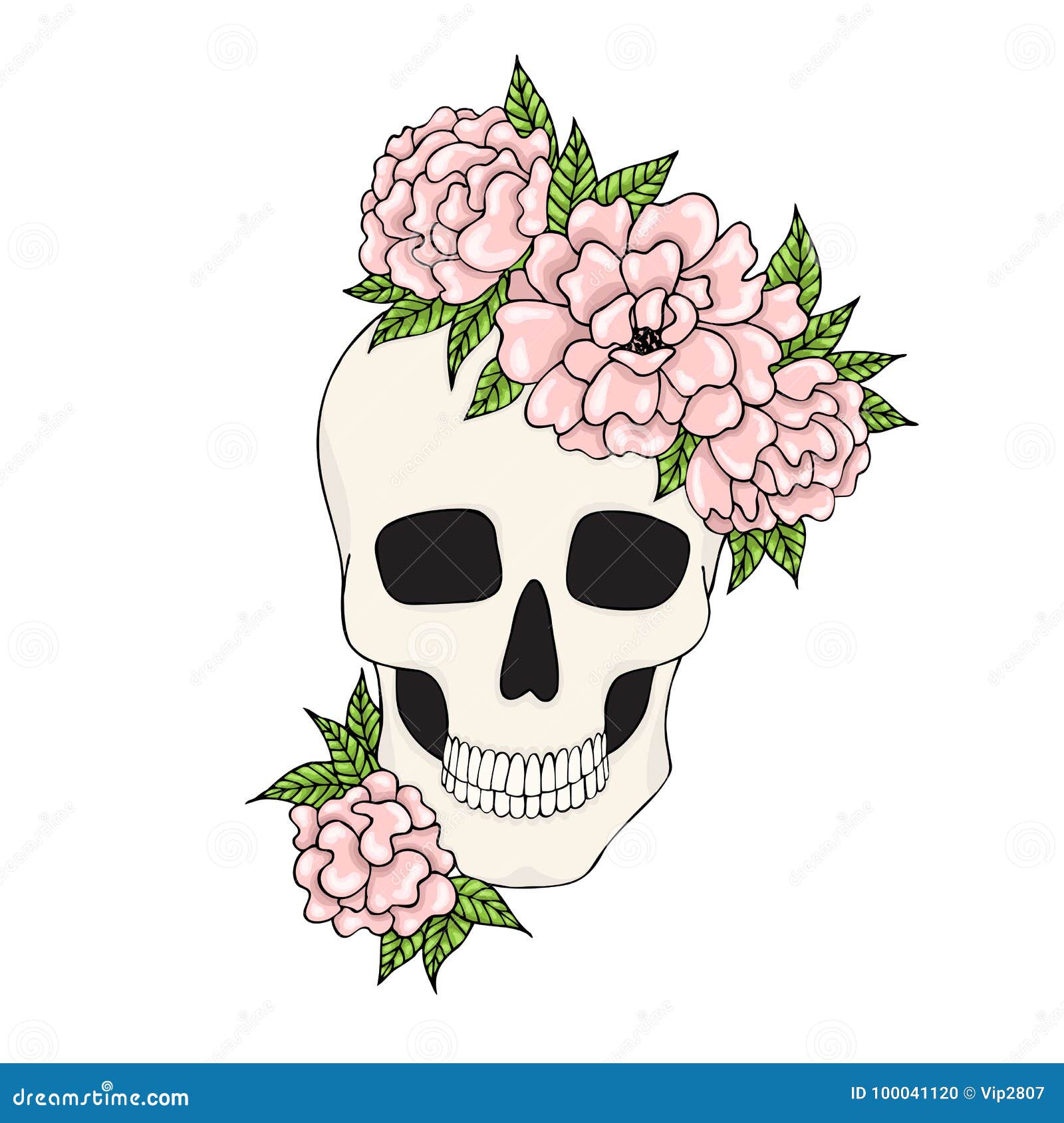 Skull with Pink Flowers on a White Background. Stock Vector ...