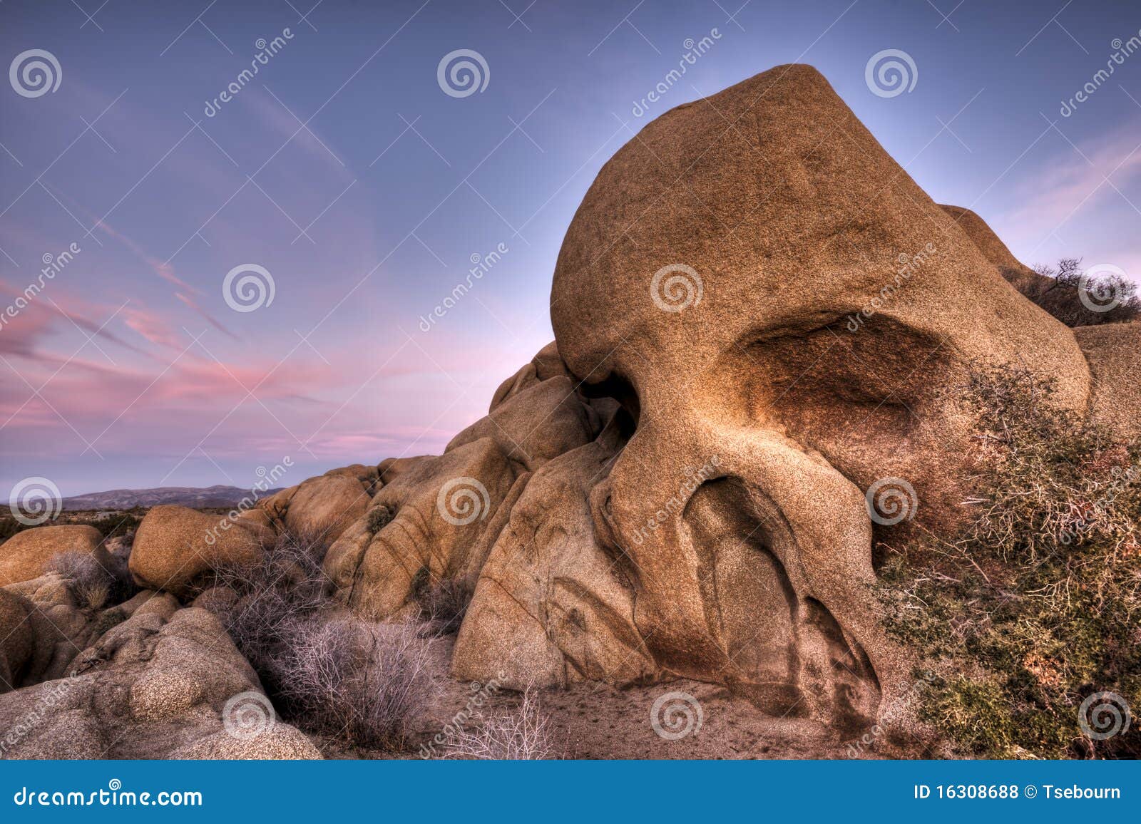 skull rock joshua tree national park