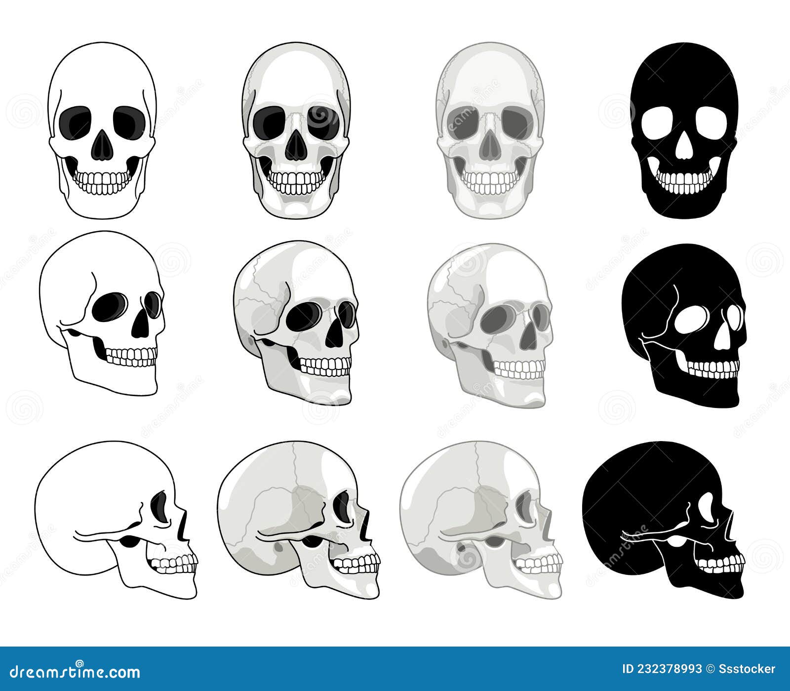 Cartoon Skull Vector Flat Icon Of Stylized Human Skull Great Sign Jolly  Roger The Symbol For The Logo Sticker Stock Illustration  Download Image  Now  iStock