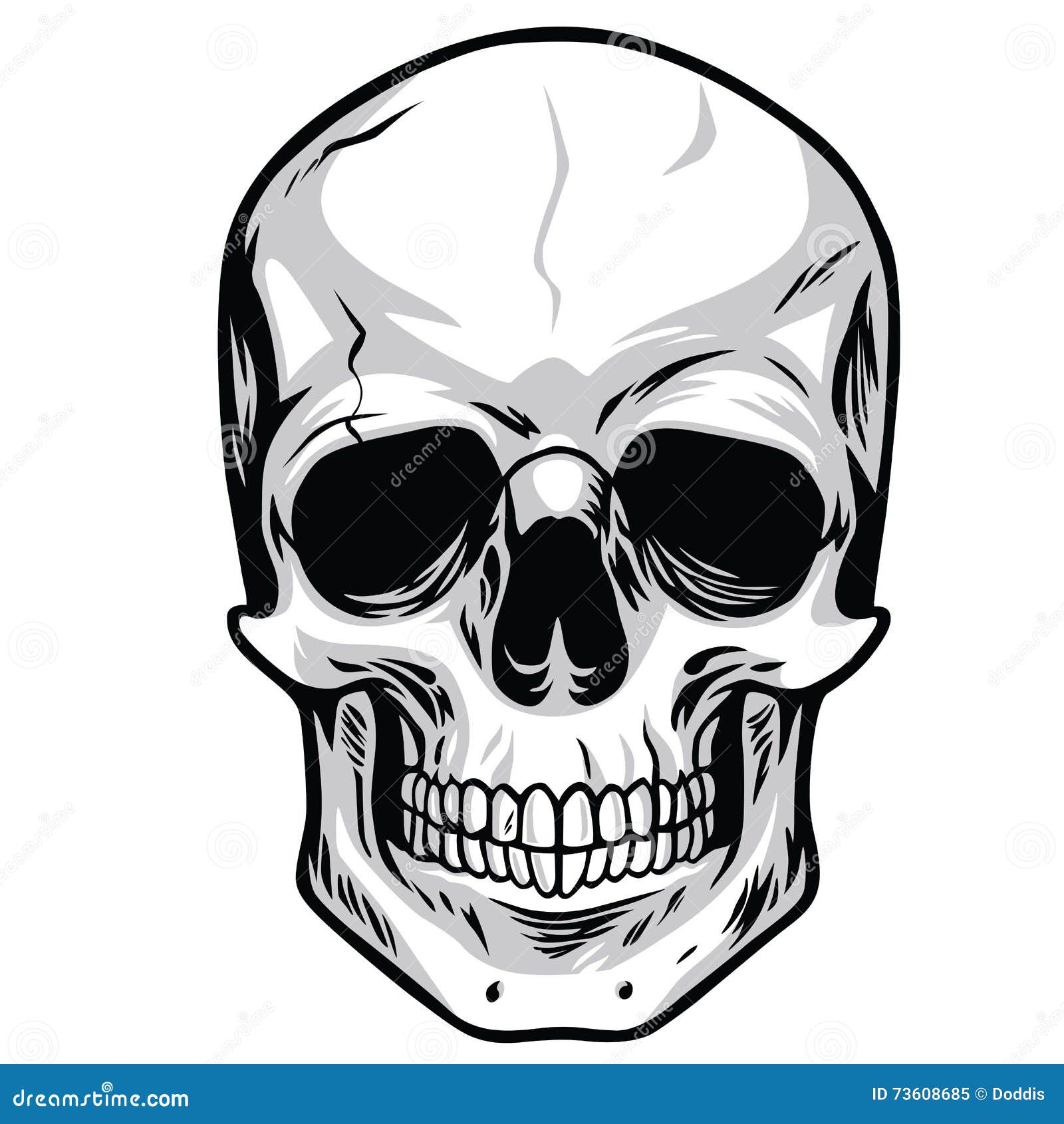 Skull 01 Vector Illustration 65630018