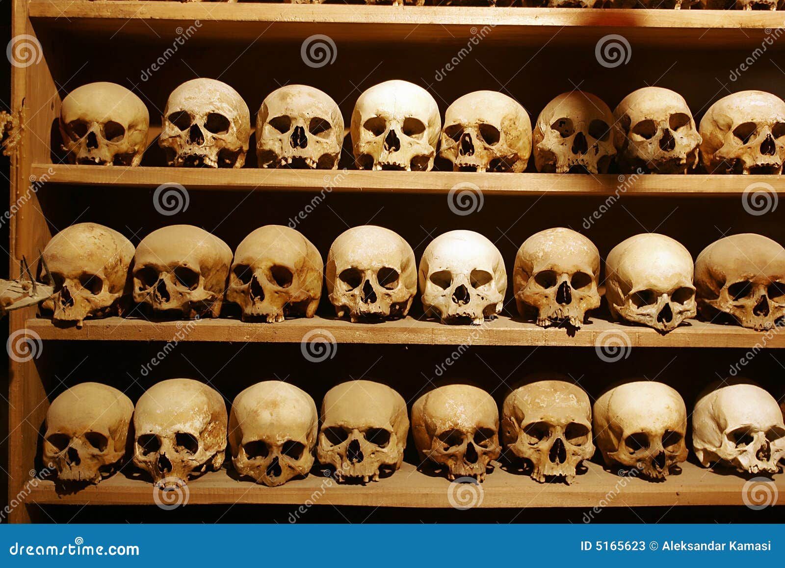 Skulls stock image. Image of monastery, mortality, bone - 5165623