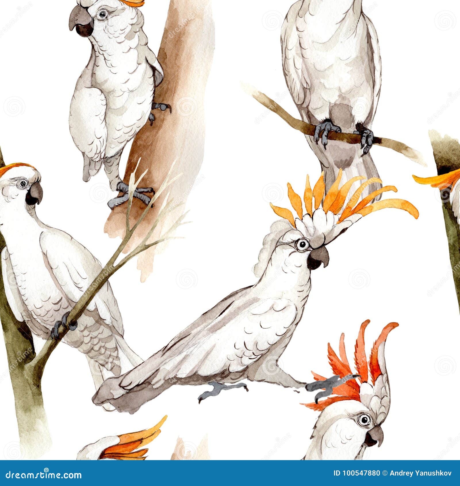 Sky Bird White Macaw Pattern In A Wildlife By Watercolor Style Stock Illustration Illustration Of Leaves Brazil Sky Bird White Macaw Pattern In A Wildlife By Watercolor Style Stock Illustration Illustration Of Leaves Brazil