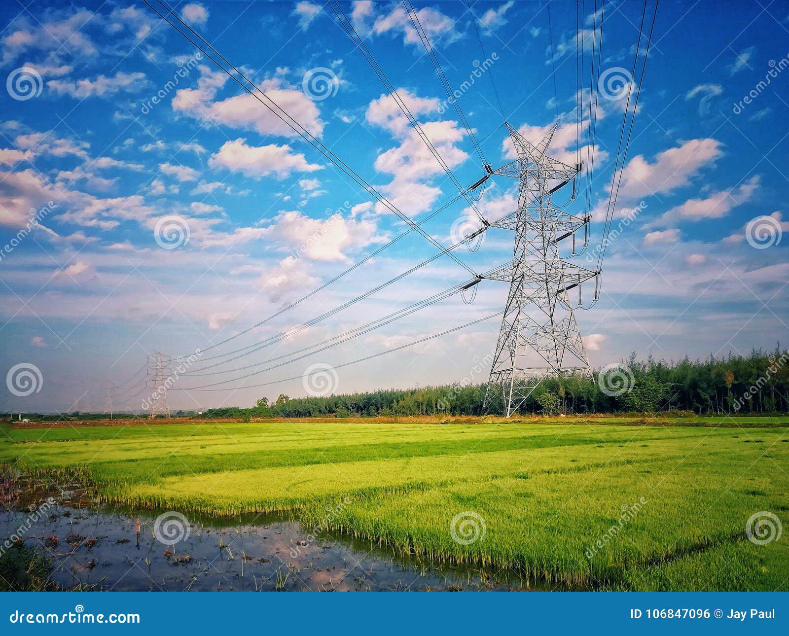 Agriculture Yard Electricity Stock Photo Image of electricity