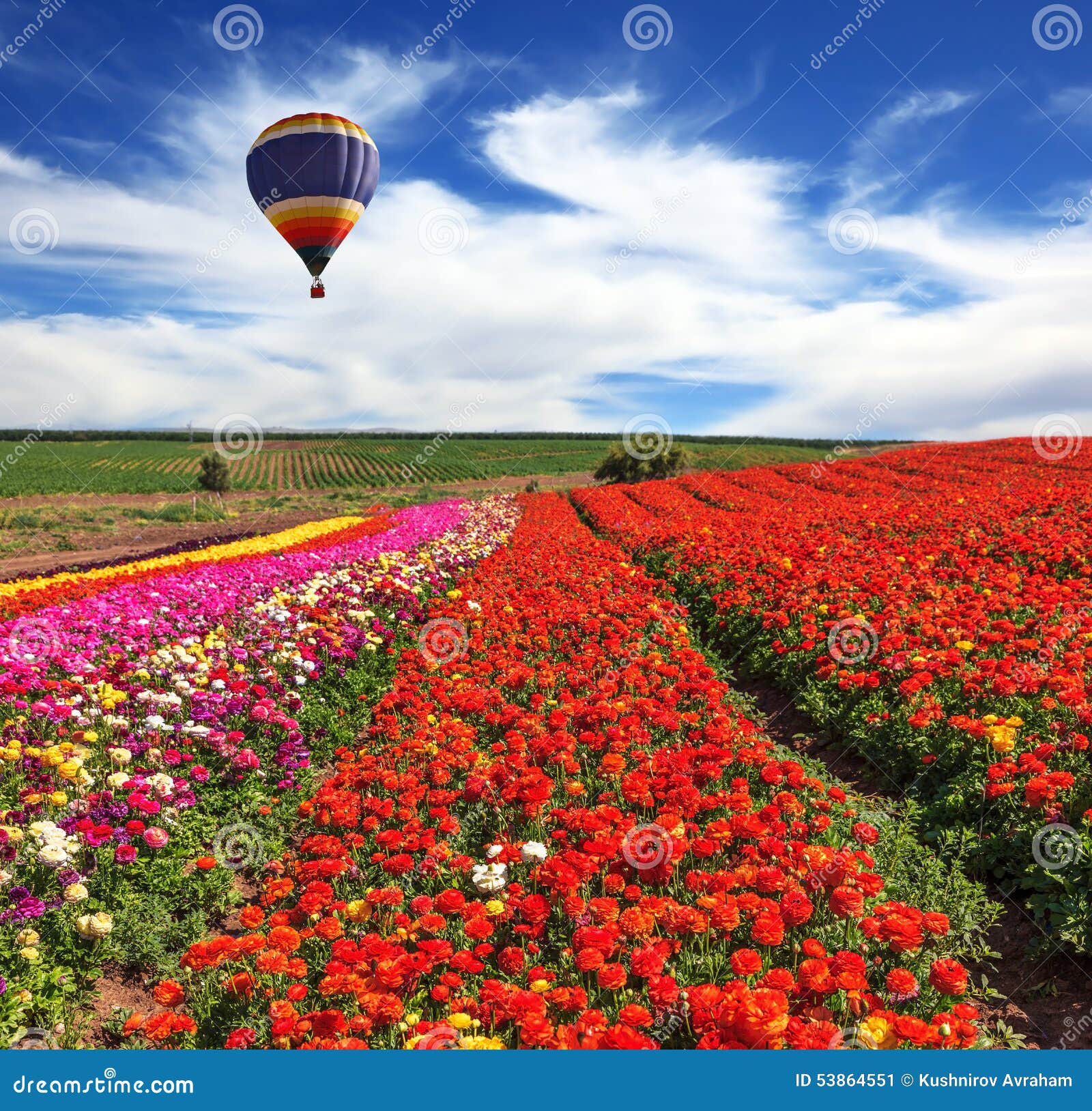 In the Sky Flying Scenic Balloon Stock Image - Image of ranunculus ...