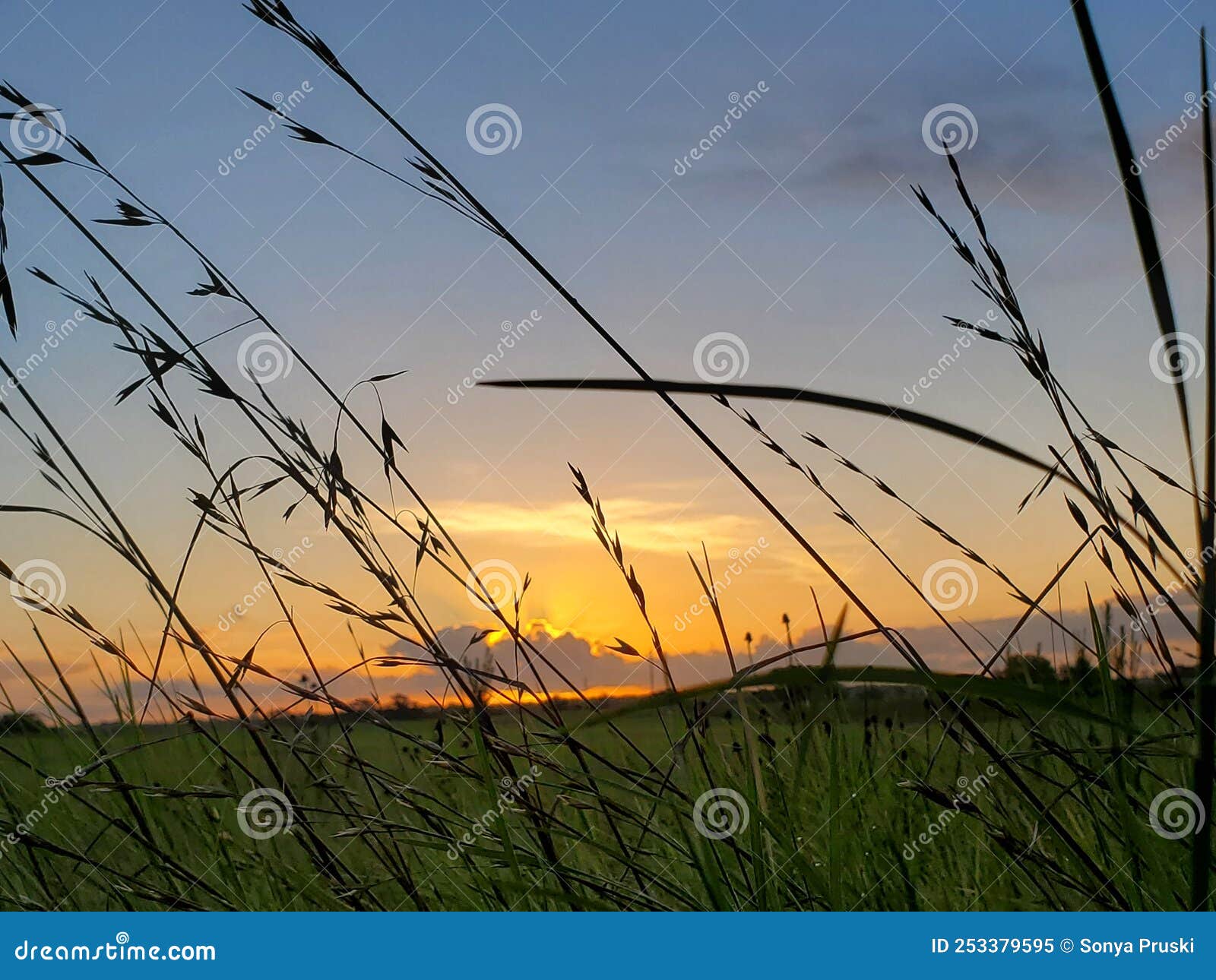Sky, Grass, Sunrise South Texas Plains Stock Image Image of plains