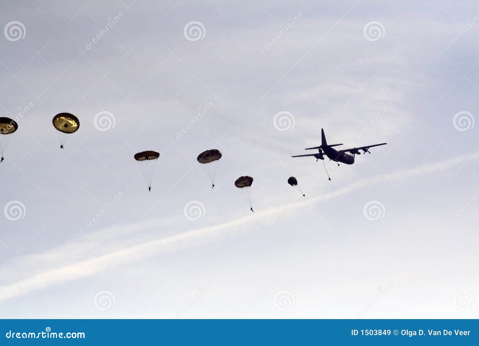 skydivers and hercules plane