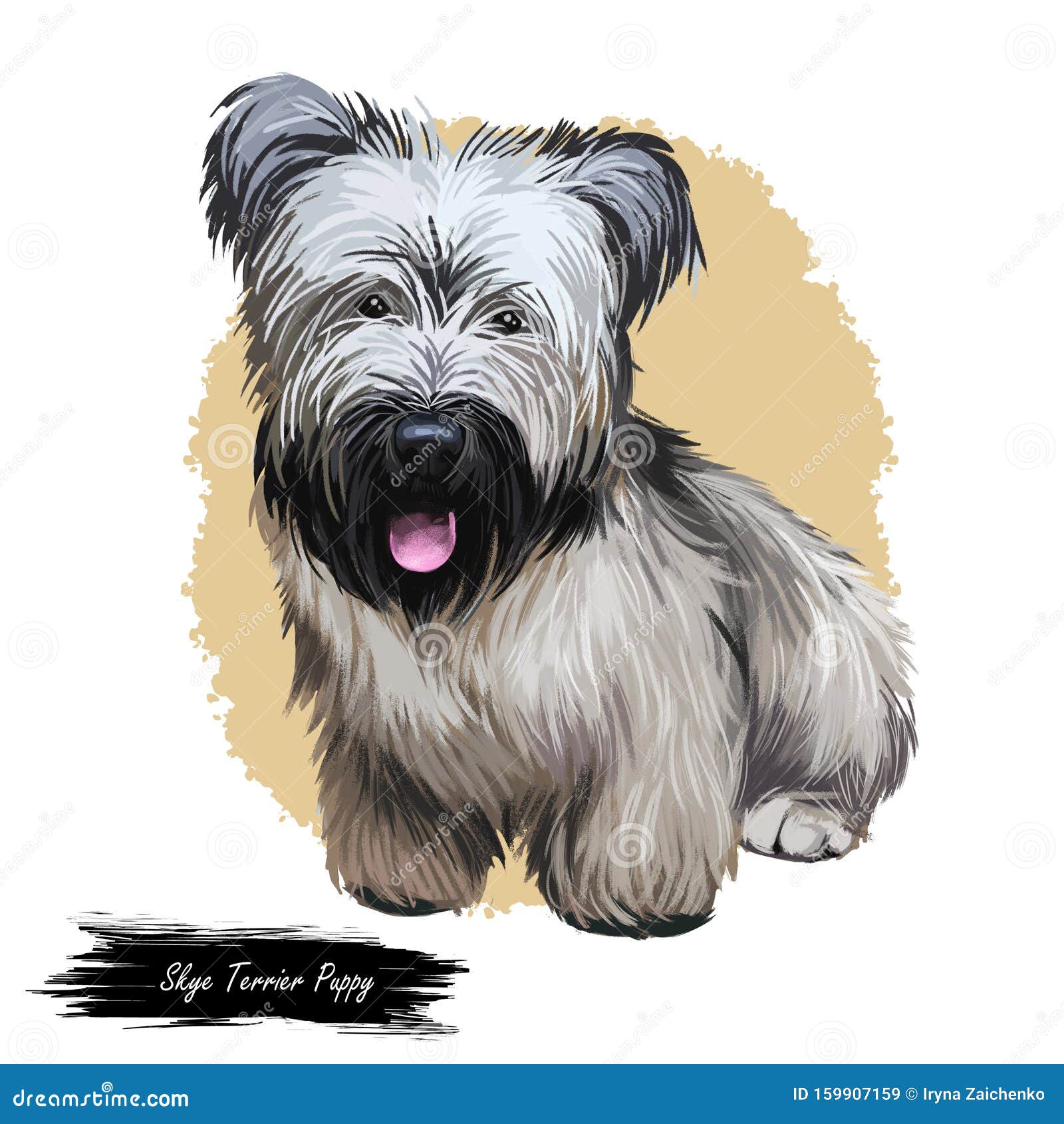 Skye Terrier Perro De Regazo Pequeño Mascota De Arte De Tamaño Mancha De Cachorro Criando a La Acuarela Stock ilustración - Ilustración de perezoso, bozal: 159907159