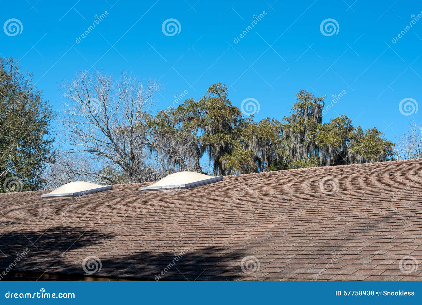 skylights on roof