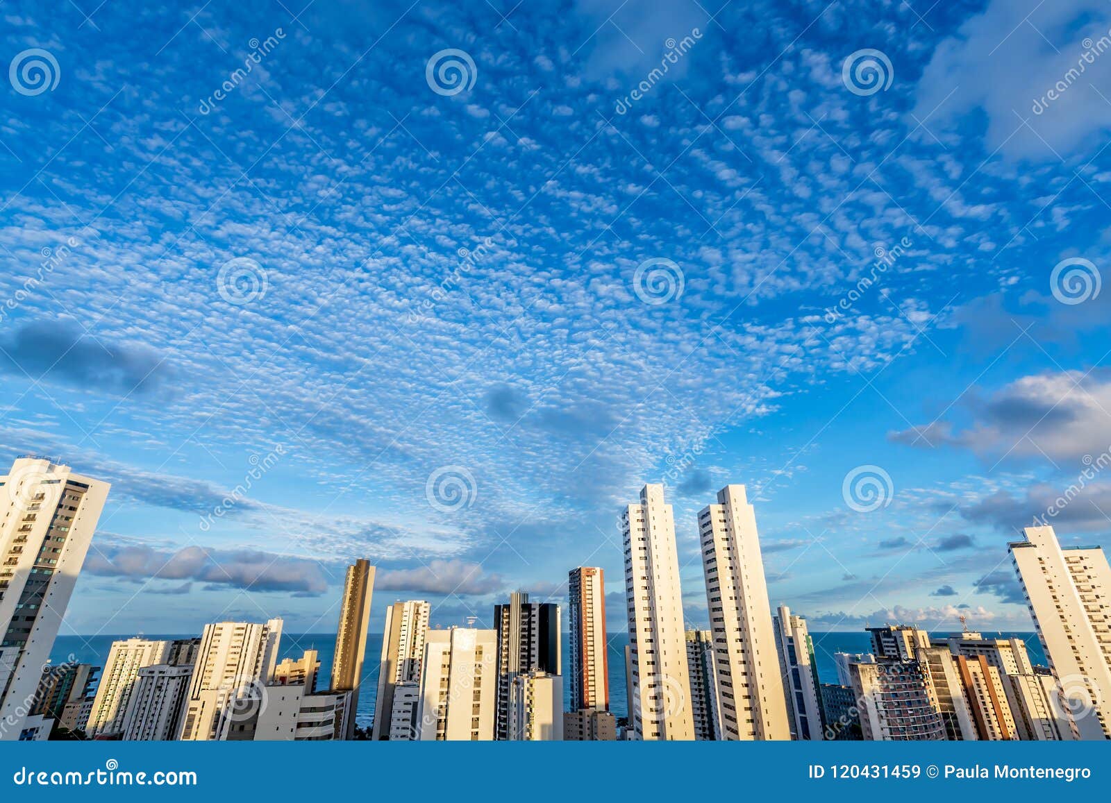 skyline buildings in a blue sky day at boa viagem beach, recife, pernambuco, brazil