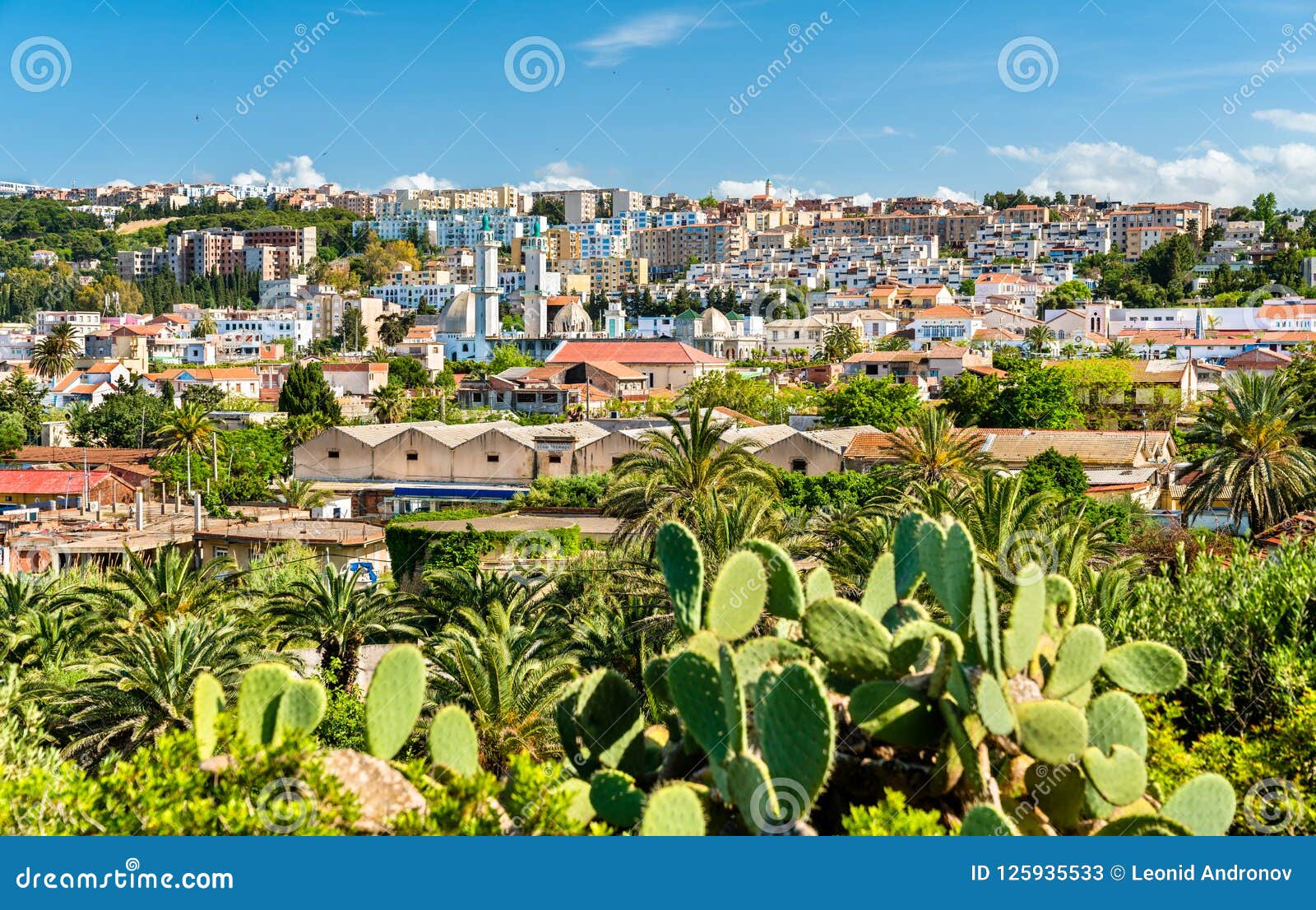 skyline of tipaza, a city in algeria
