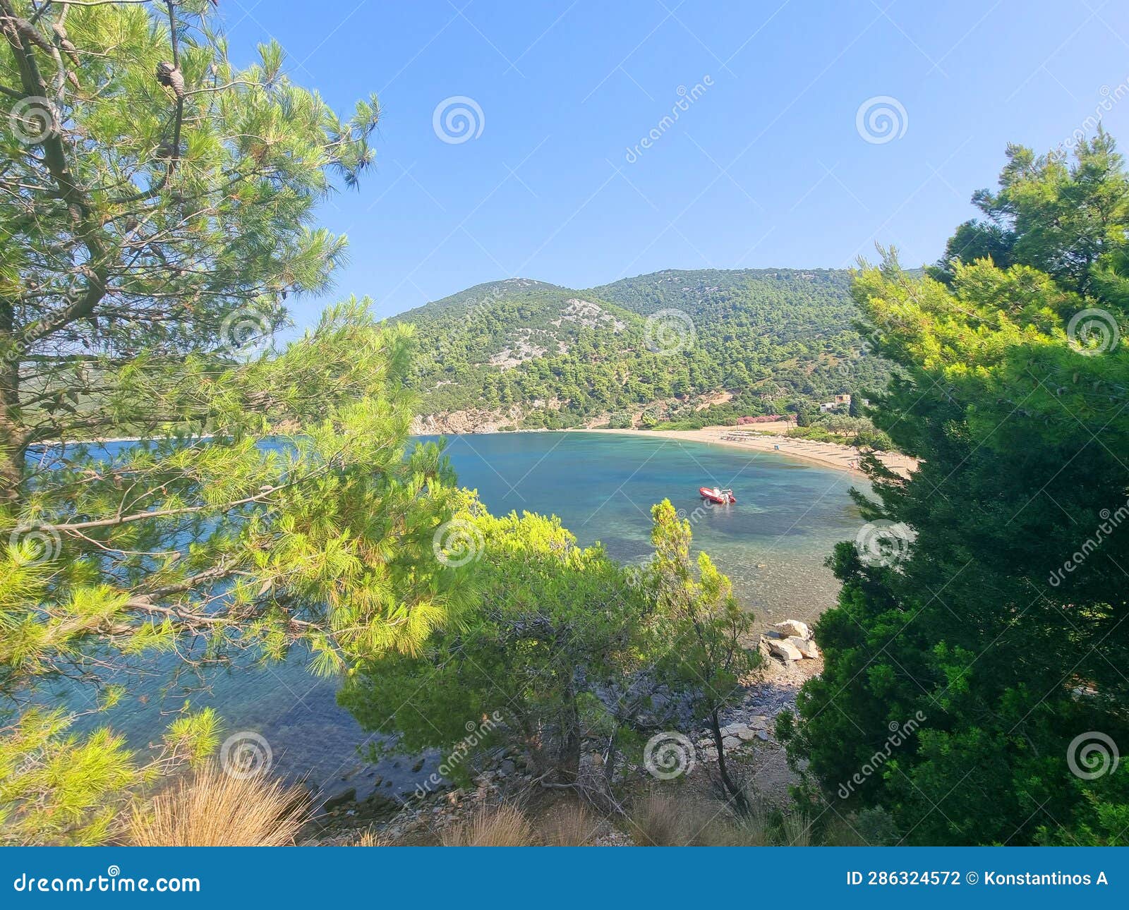 Skyros or Skiros Island, Pefkos Beach Pine Trees beside the Sea Summer ...