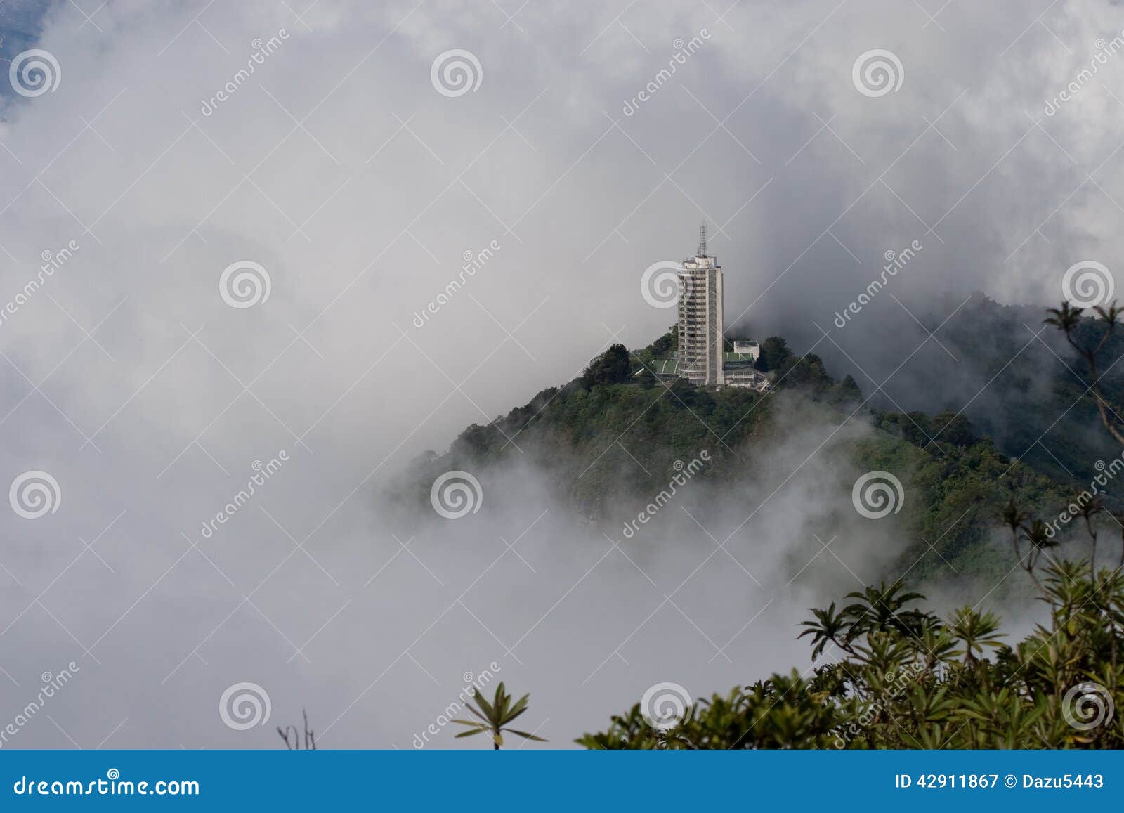 skyscraper rises above the fog