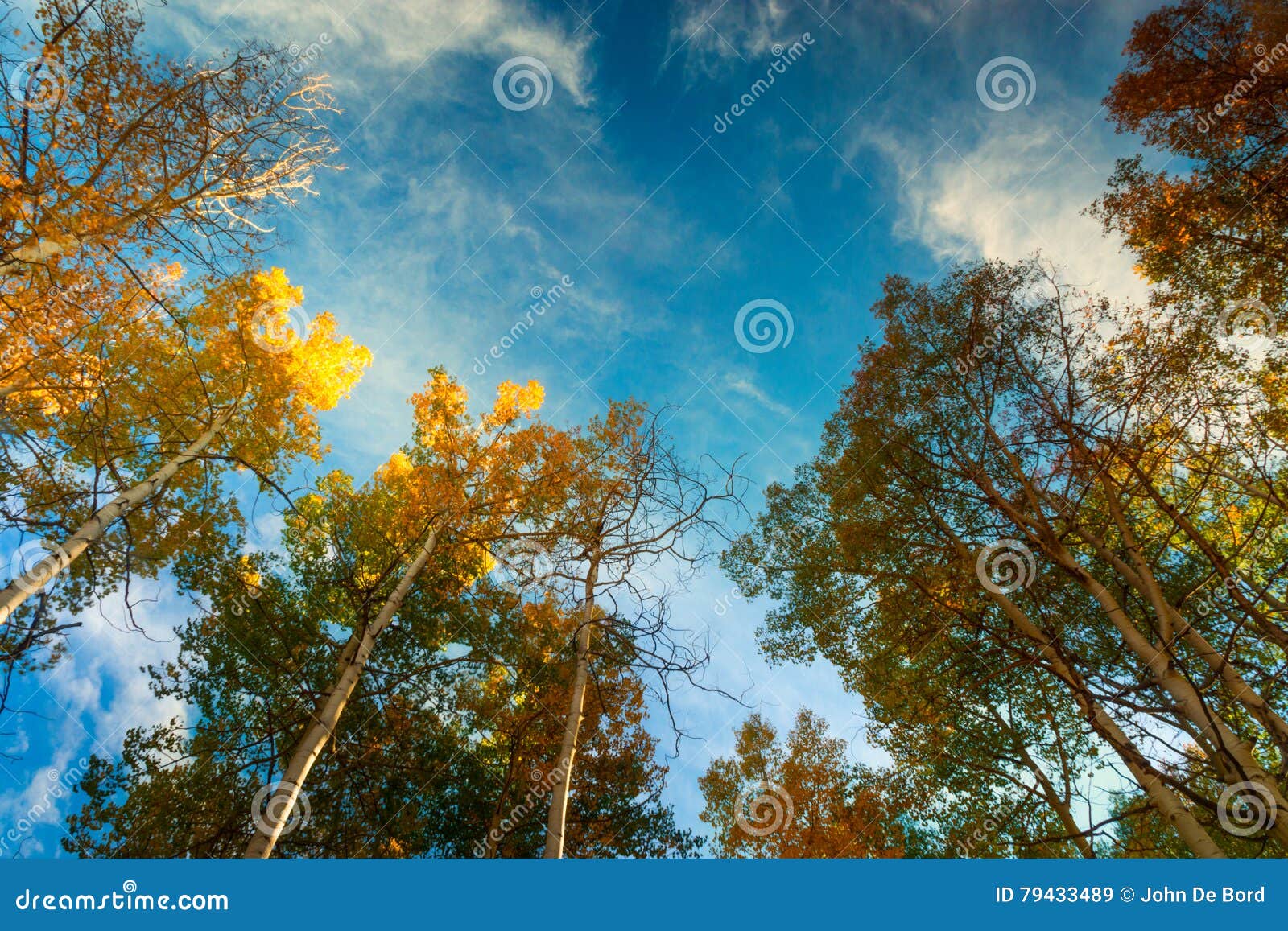 Skyward. Espen van Kebler-pas, het bereik van Colorado voor de hemel tijdens de Herfst