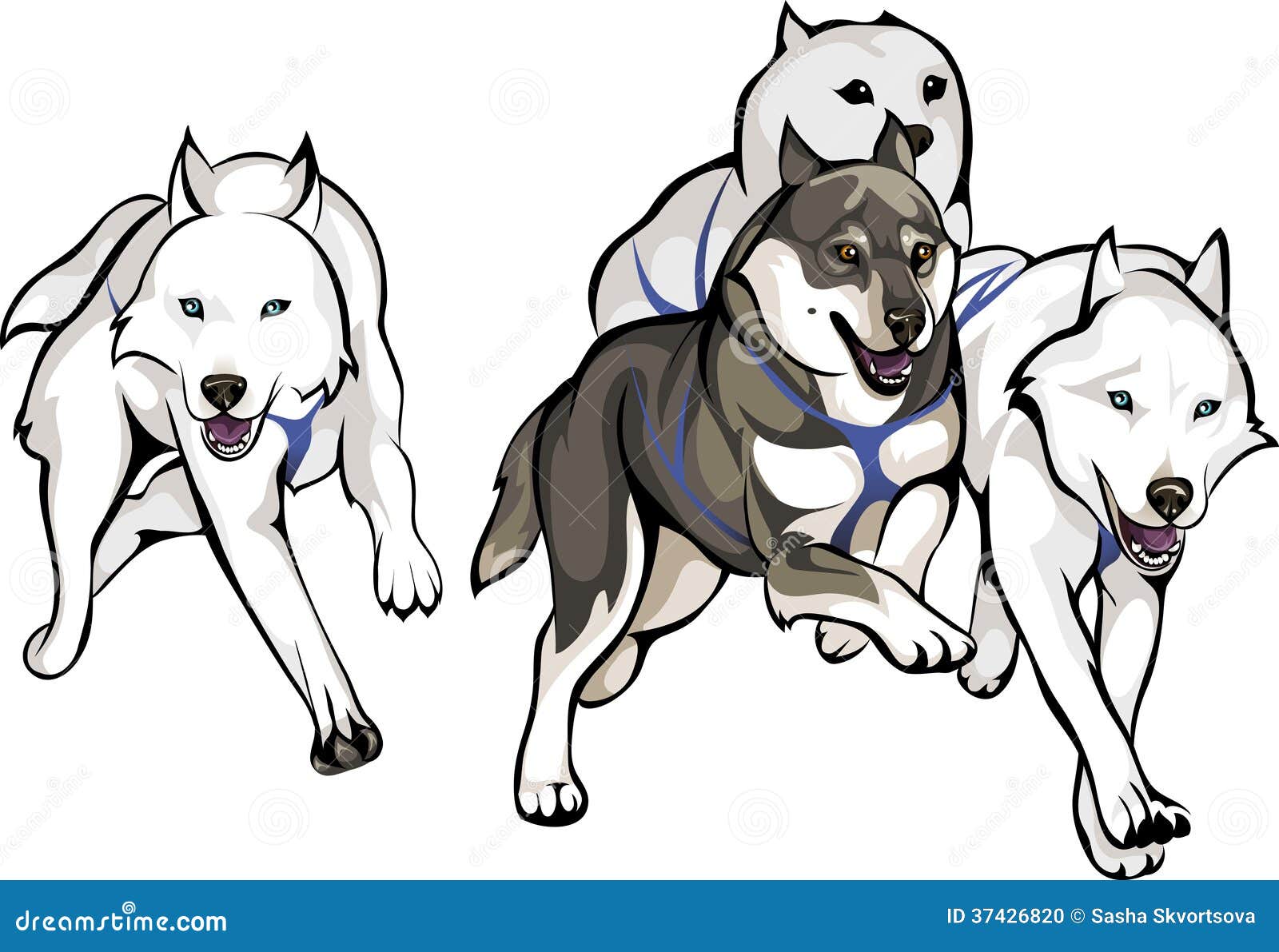 How To Draw A Musher - Occasionaction27