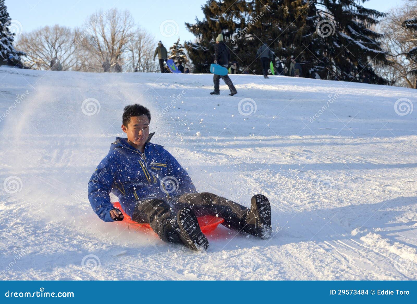 Sled Riding in Central Park after Snow Storm Nemo Editorial Stock Image Image of york, riding